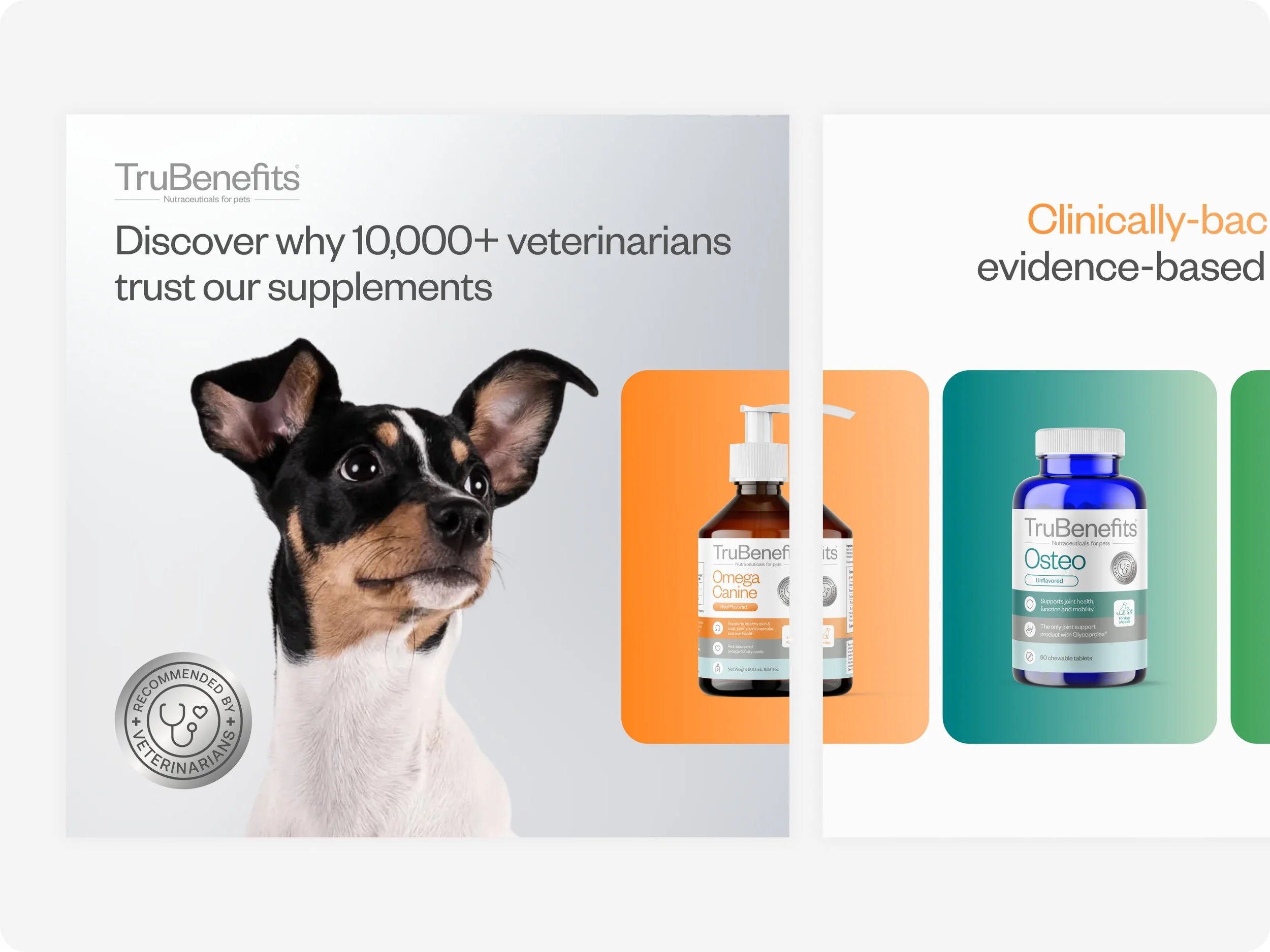 Veterinary Recommended Solutions