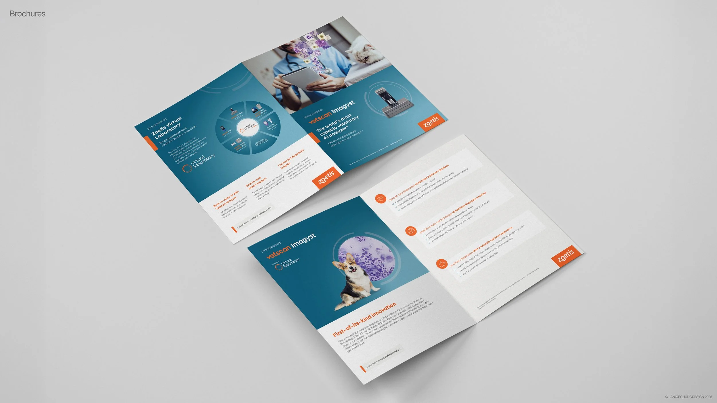 ZDXLookDeeper_Content 04.jpg