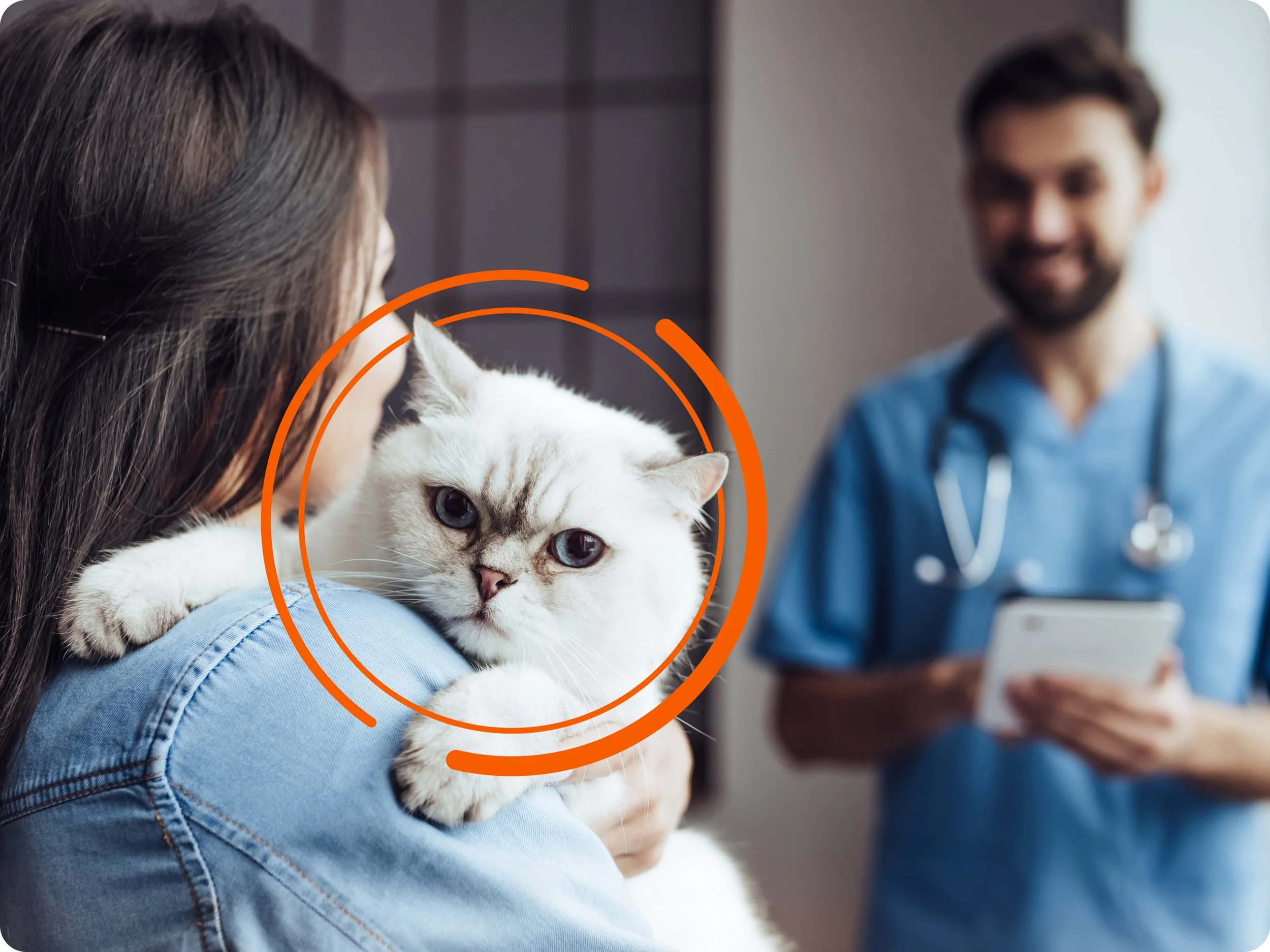 Zoetis Diagnostics: Look Deeper