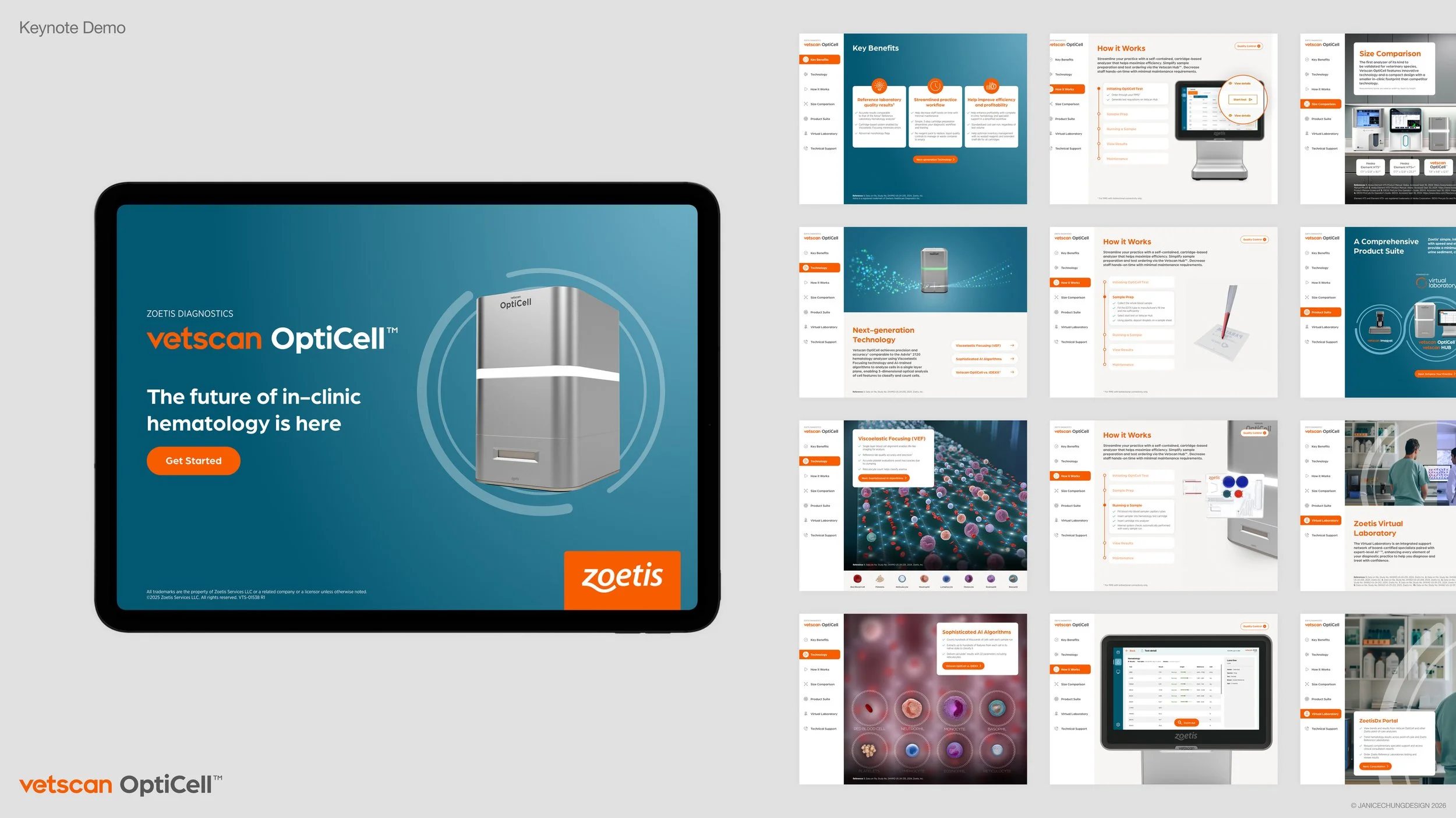 ZDXOptiCellImagyst_Content 05.jpg