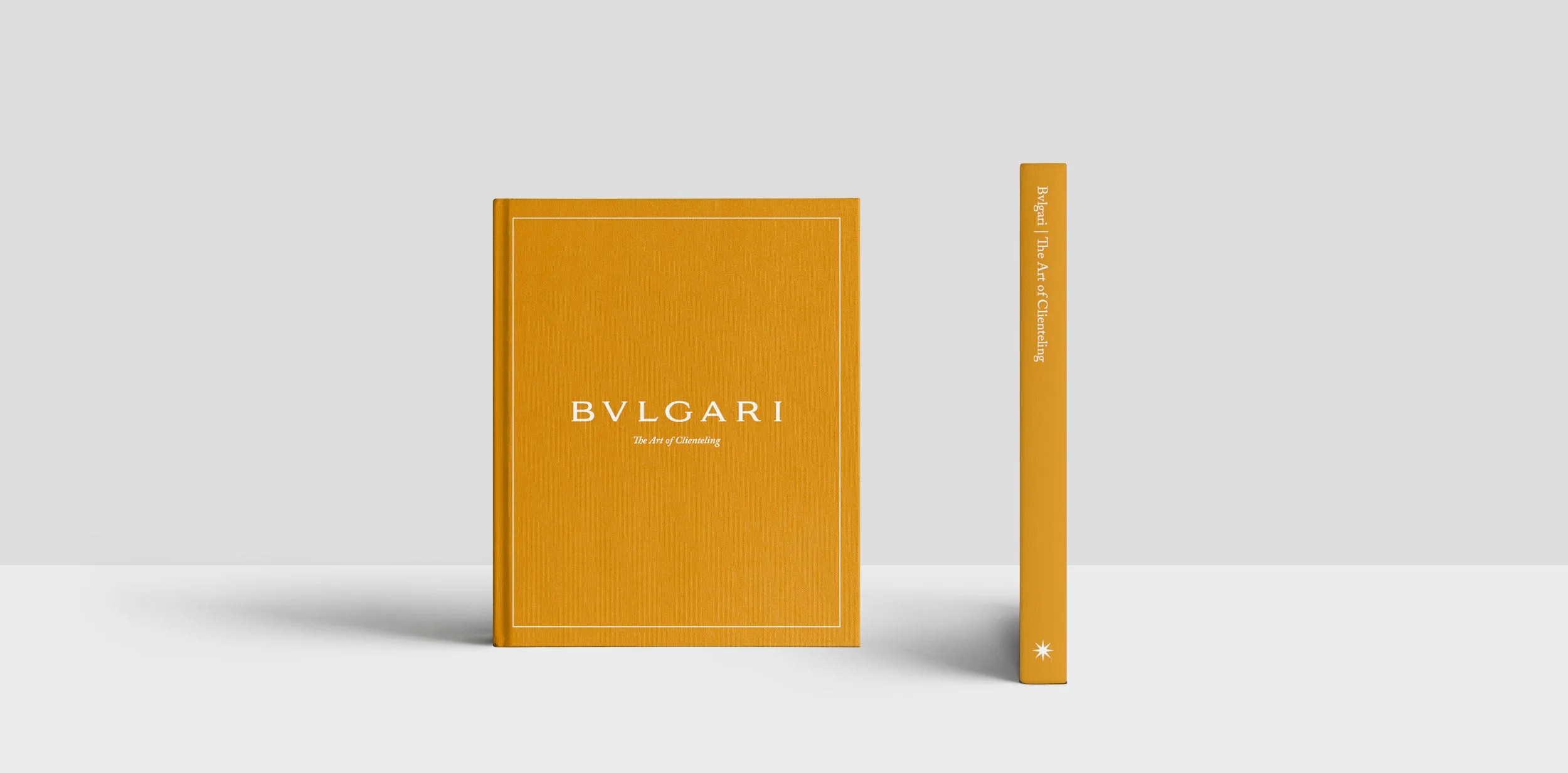 vseen-bvlgari-book-of-clienteling-project-page-01.jpg