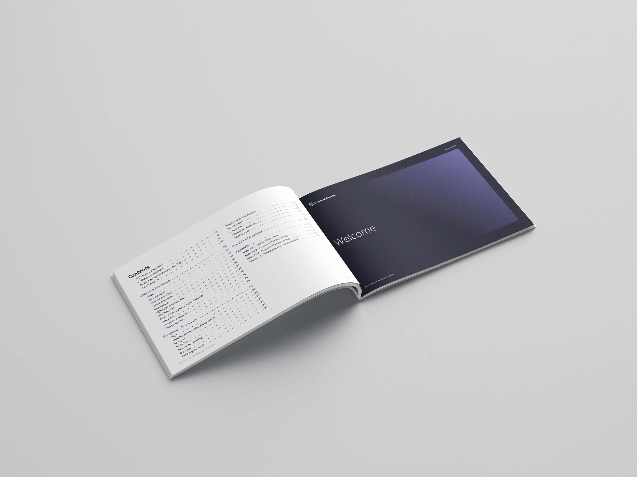 SOG Handbook 2.jpg