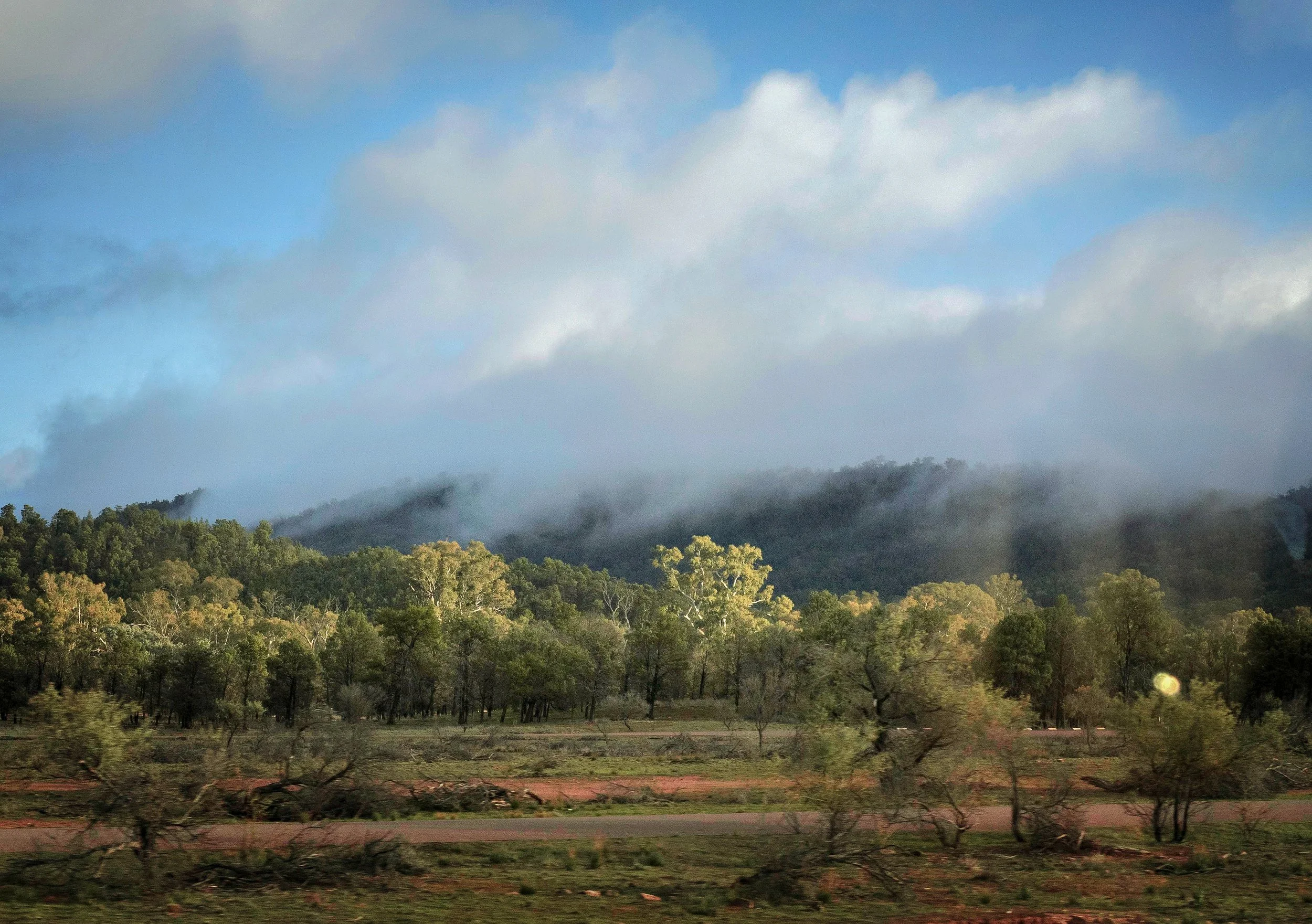 Wilpena Misty Dawn
