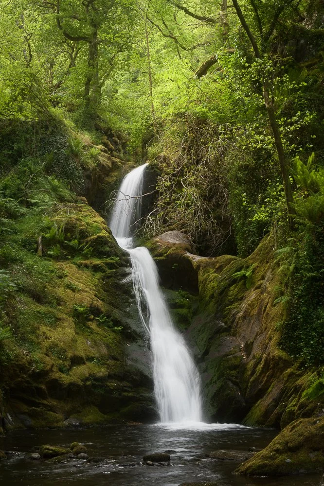 Dolgoch Falls