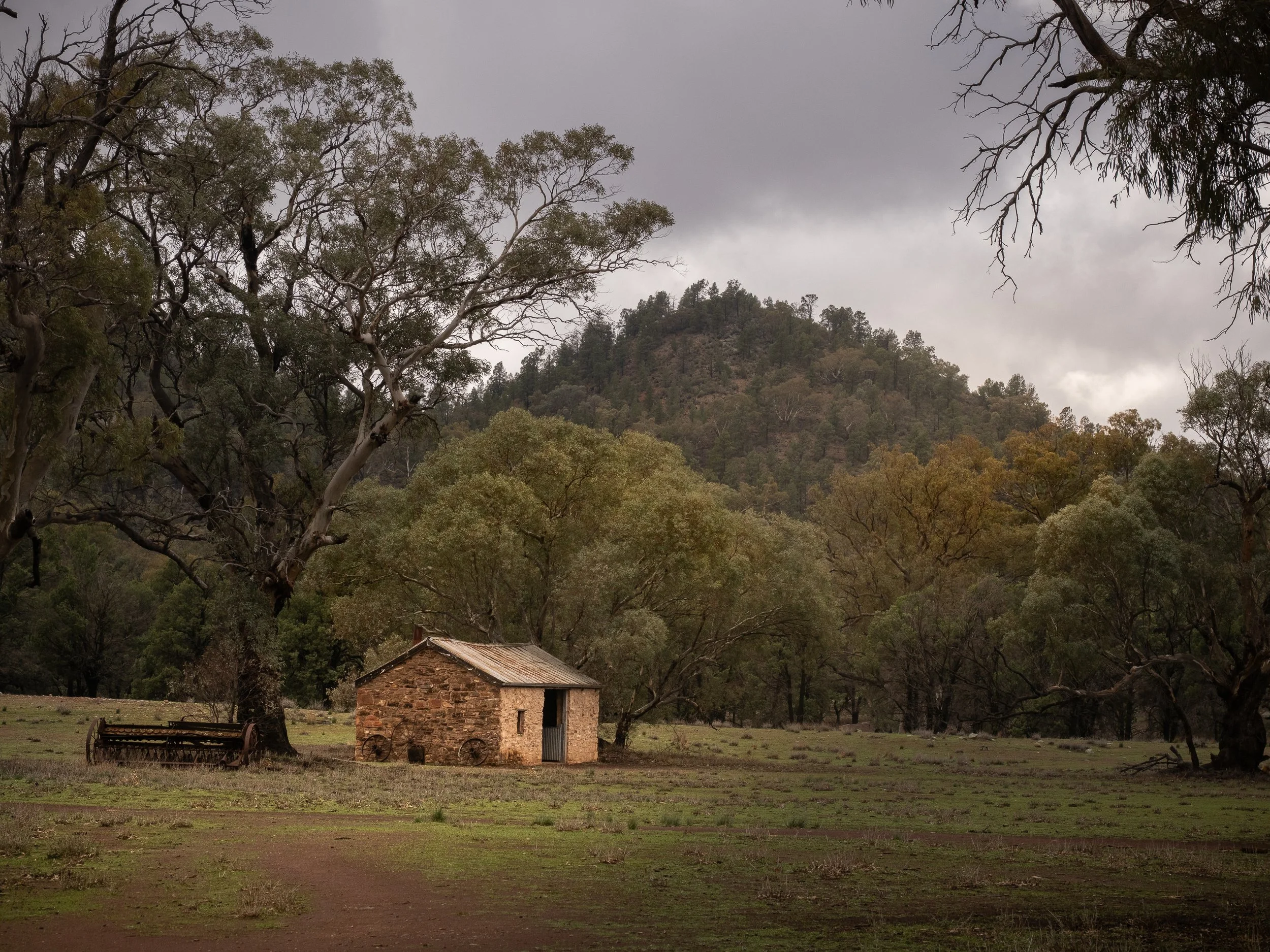 Wilpena Station Hut