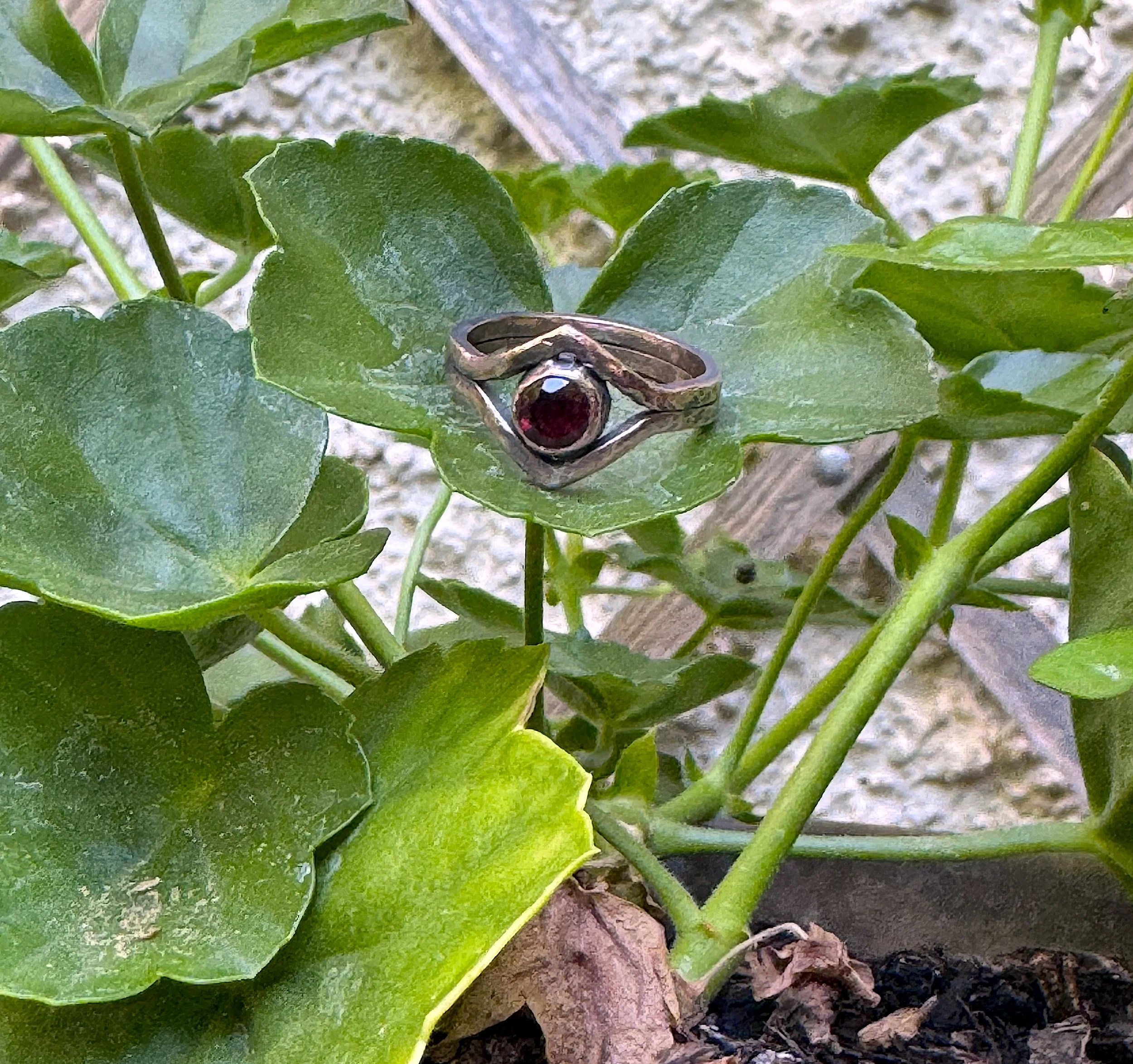Witch of the Woods Ring 5.jpg