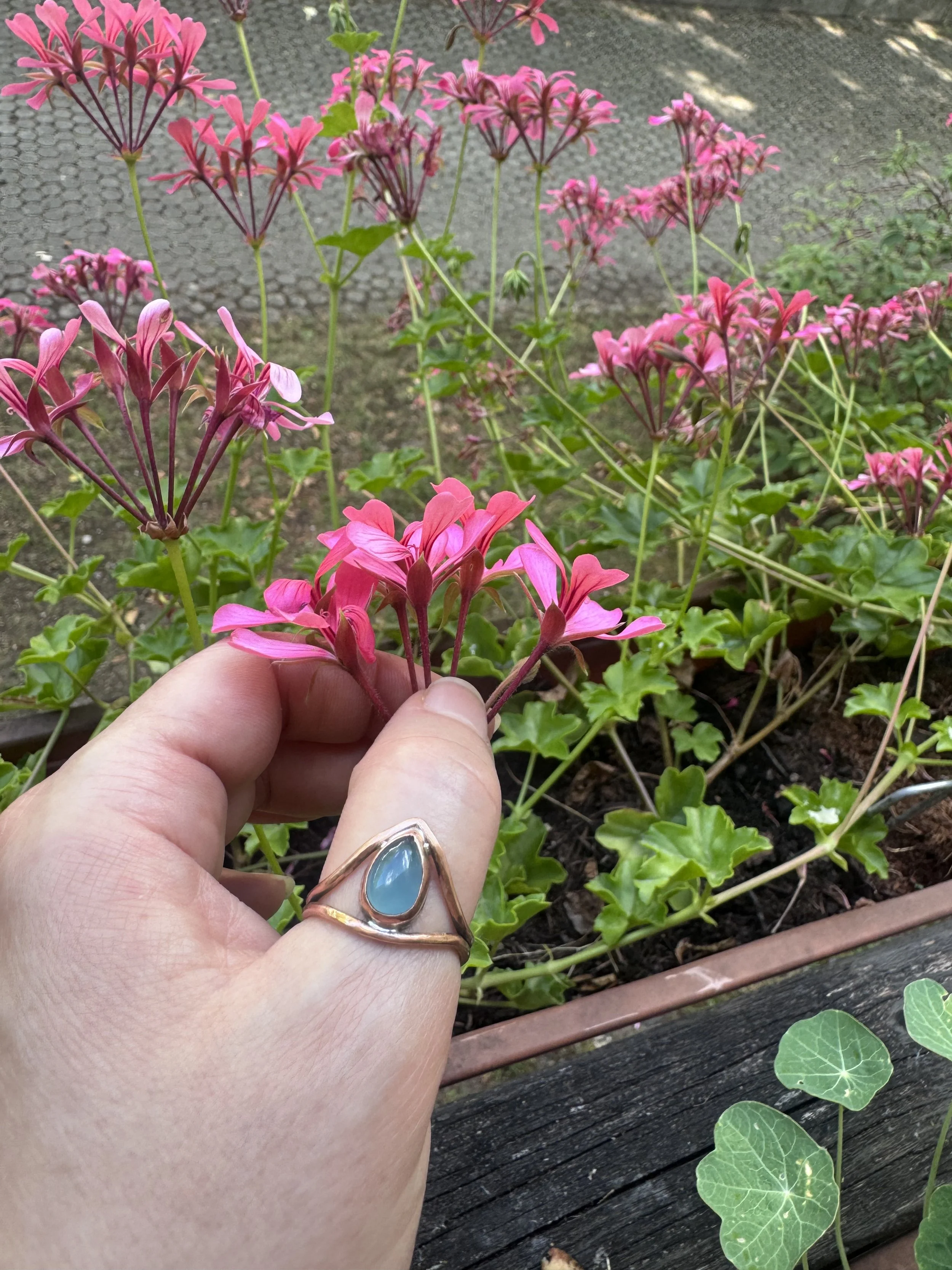 Calliope Ring 6.jpg