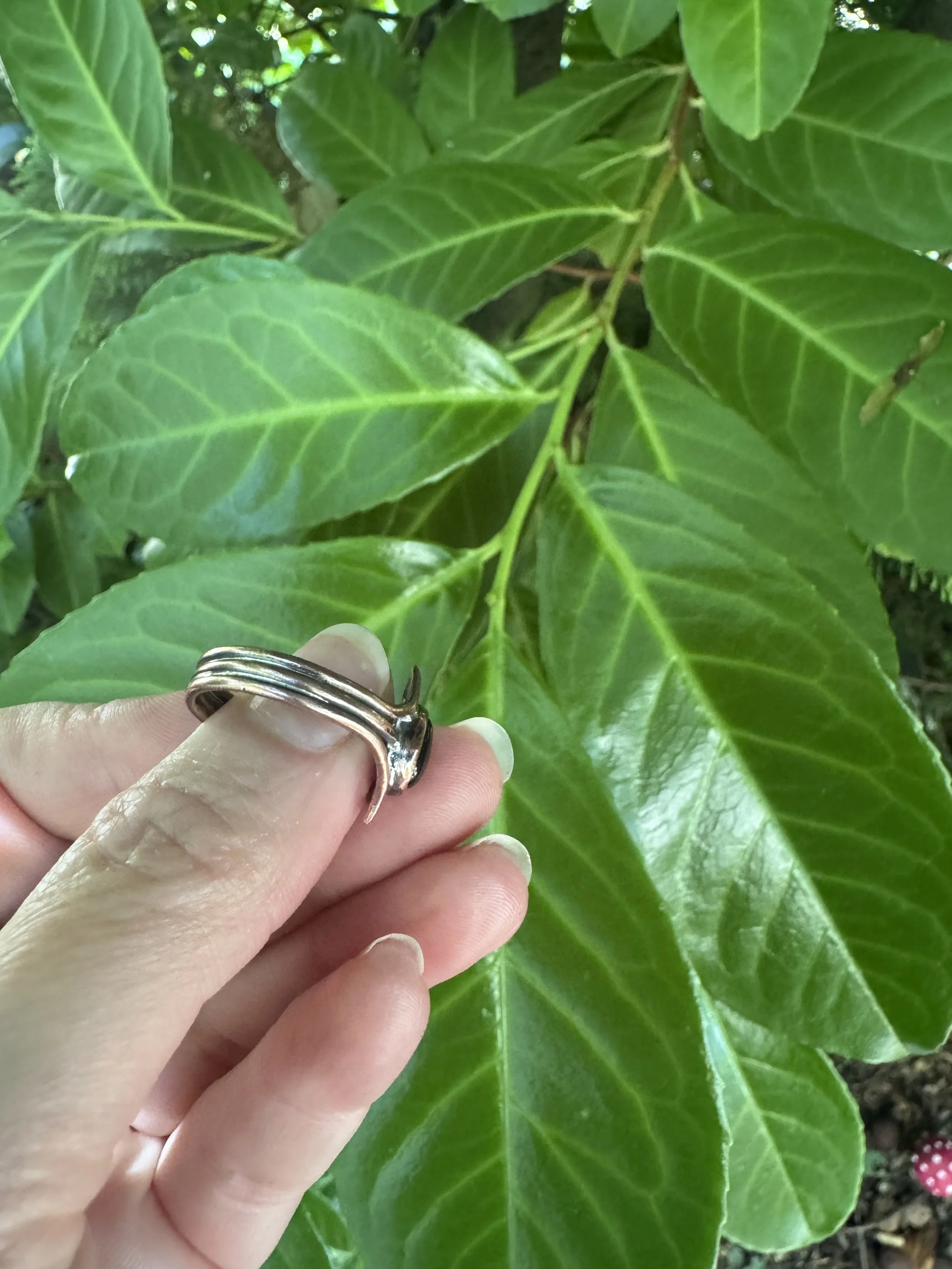Galactic Queen Ring 3.jpg