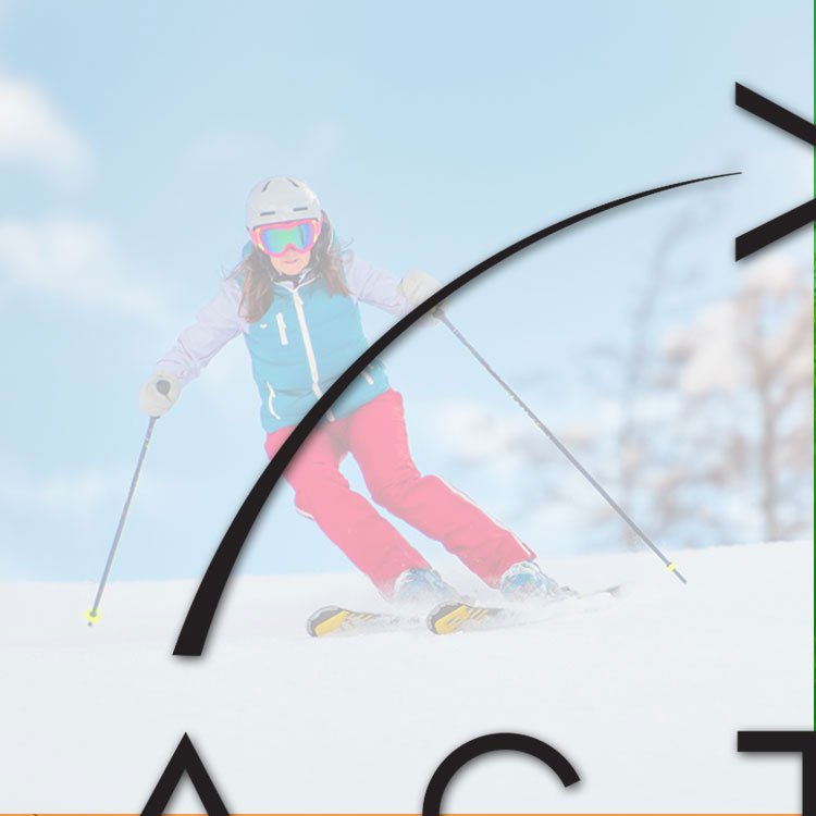 Activ365ColorWheelNewwinter.jpg