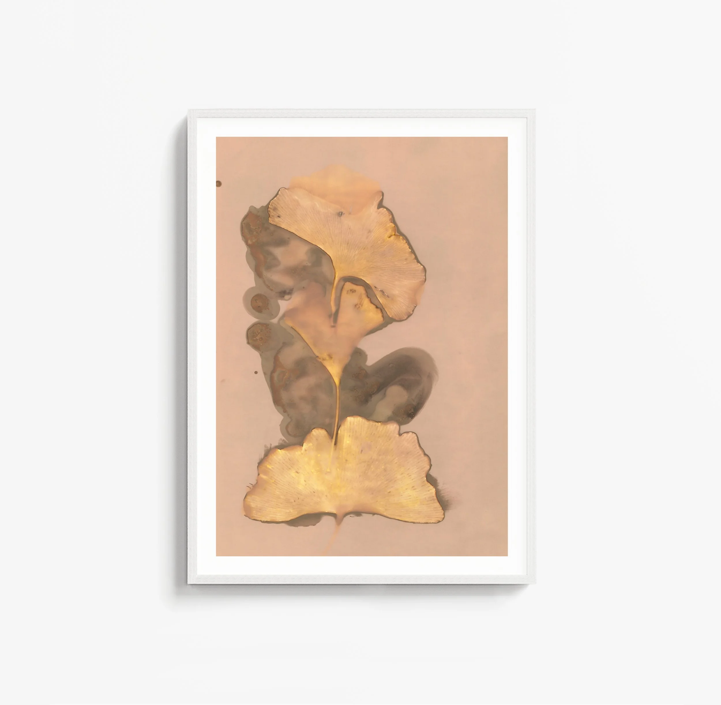 Lumen #5