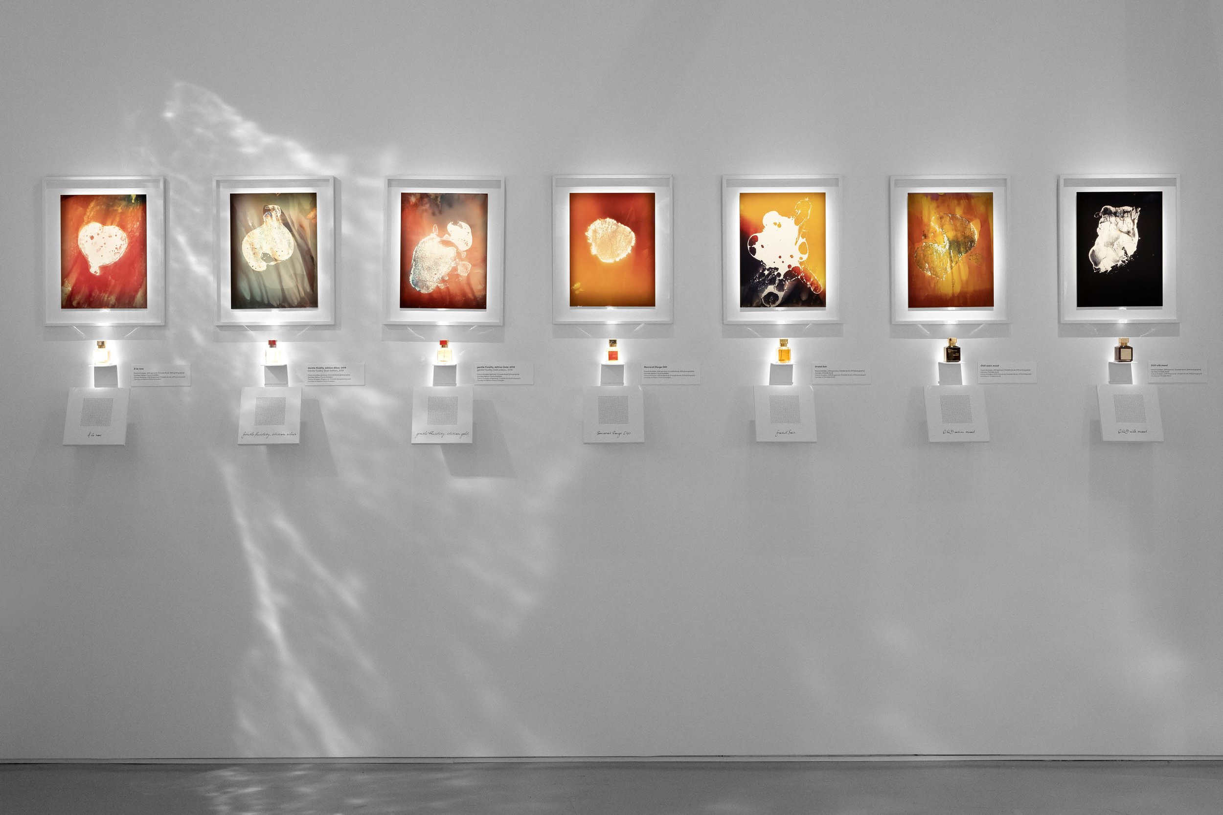 Palais_Tokyo7.jpg