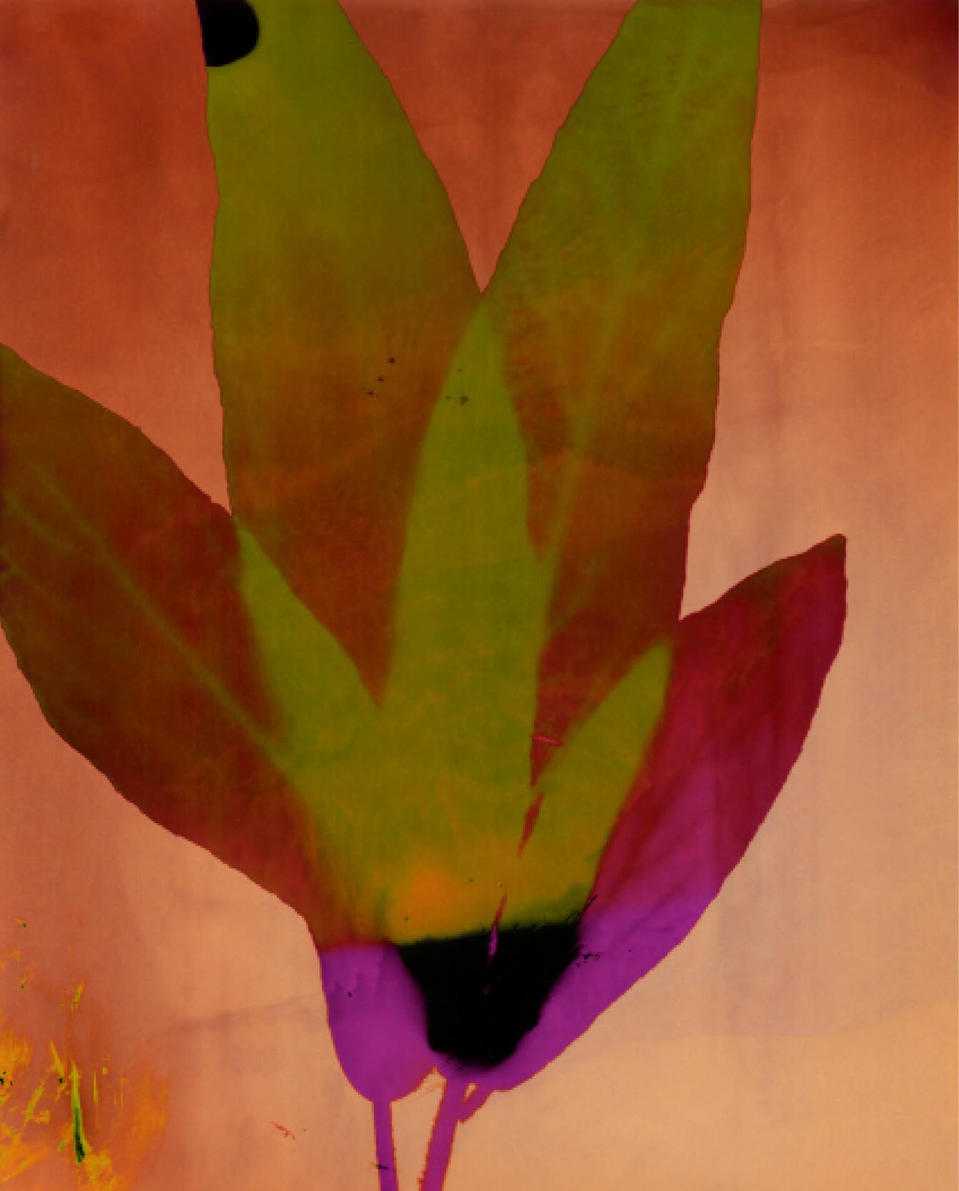 BotanicaWeb2.jpg