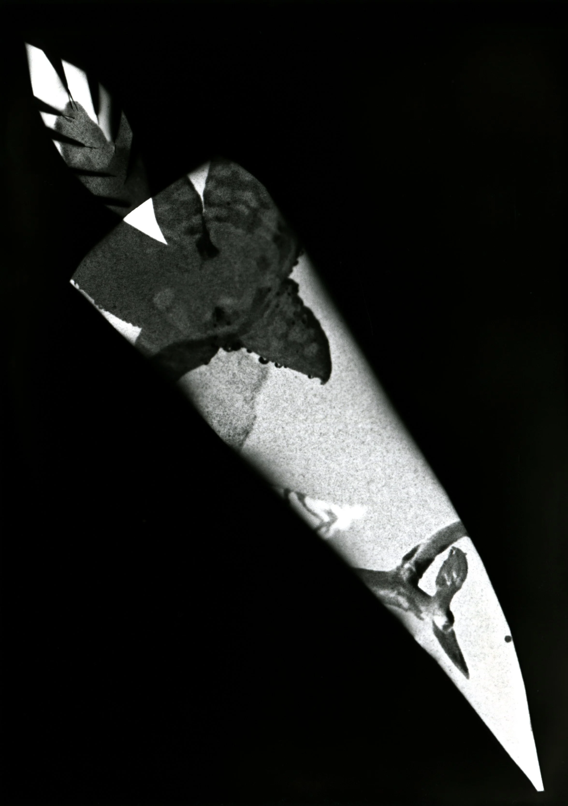 Delicatessen8.jpg