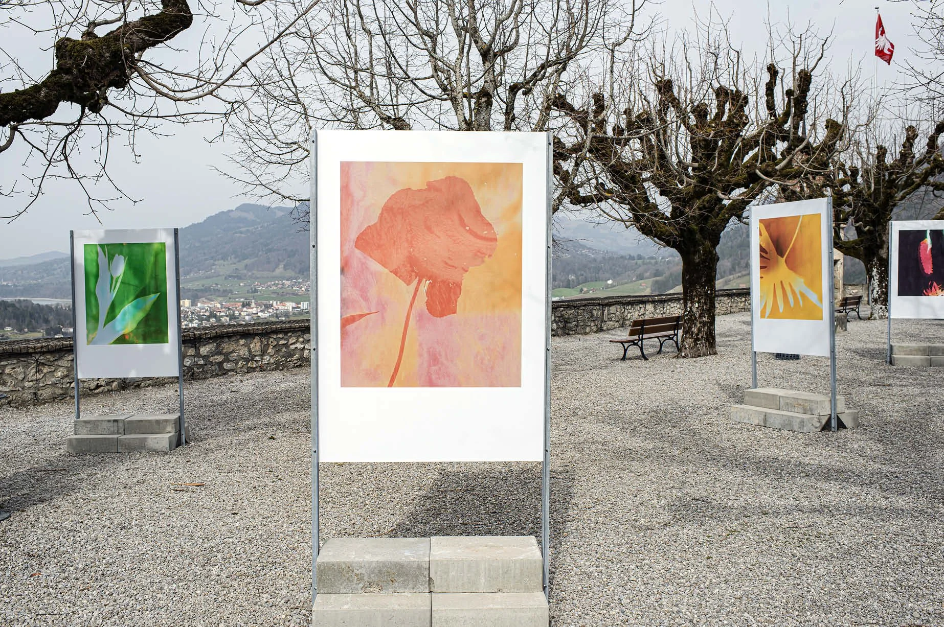 BotanicaGruyeres3.jpg