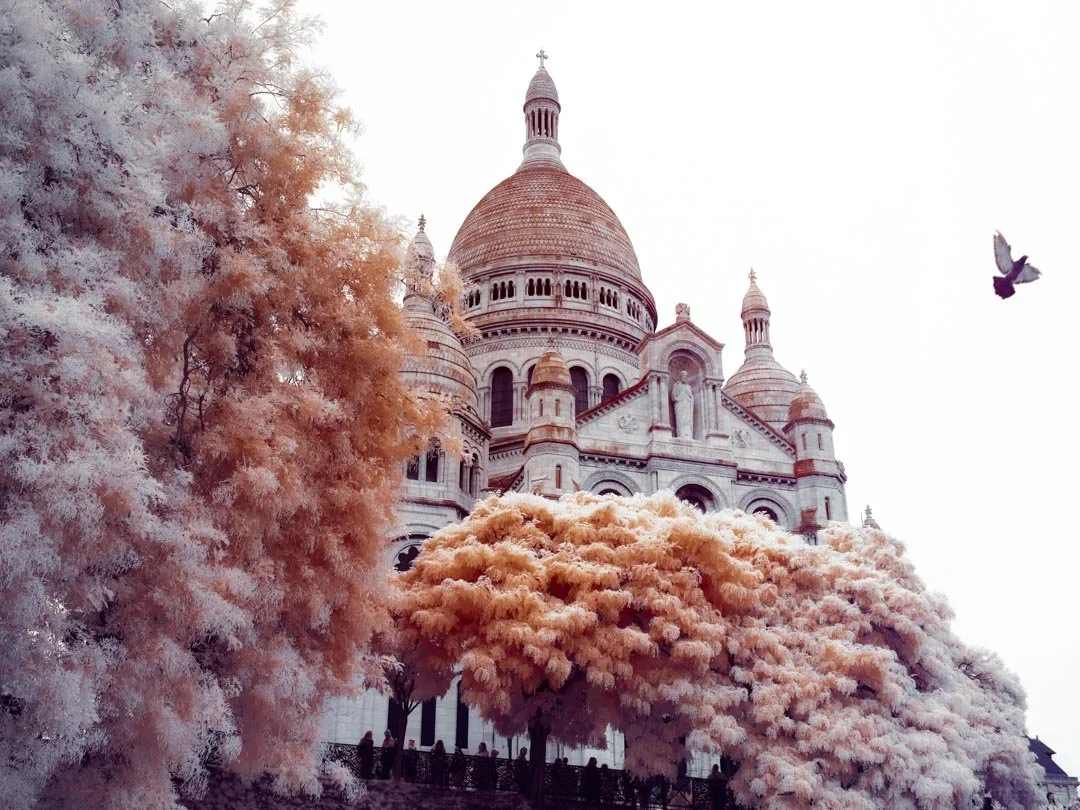A large castle-like church with domed structures and intricate architecture, surrounded by trees with pinkish foliage and a flying bird in the sky.