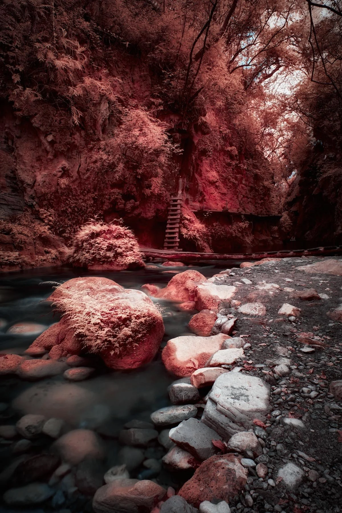 A rocky riverbed with large moss-covered boulders, flowing through a canyon with steep, reddish-hued cliffs and dense foliage, including trees and shrubs, with a wooden staircase leading up the cliffside in the background.