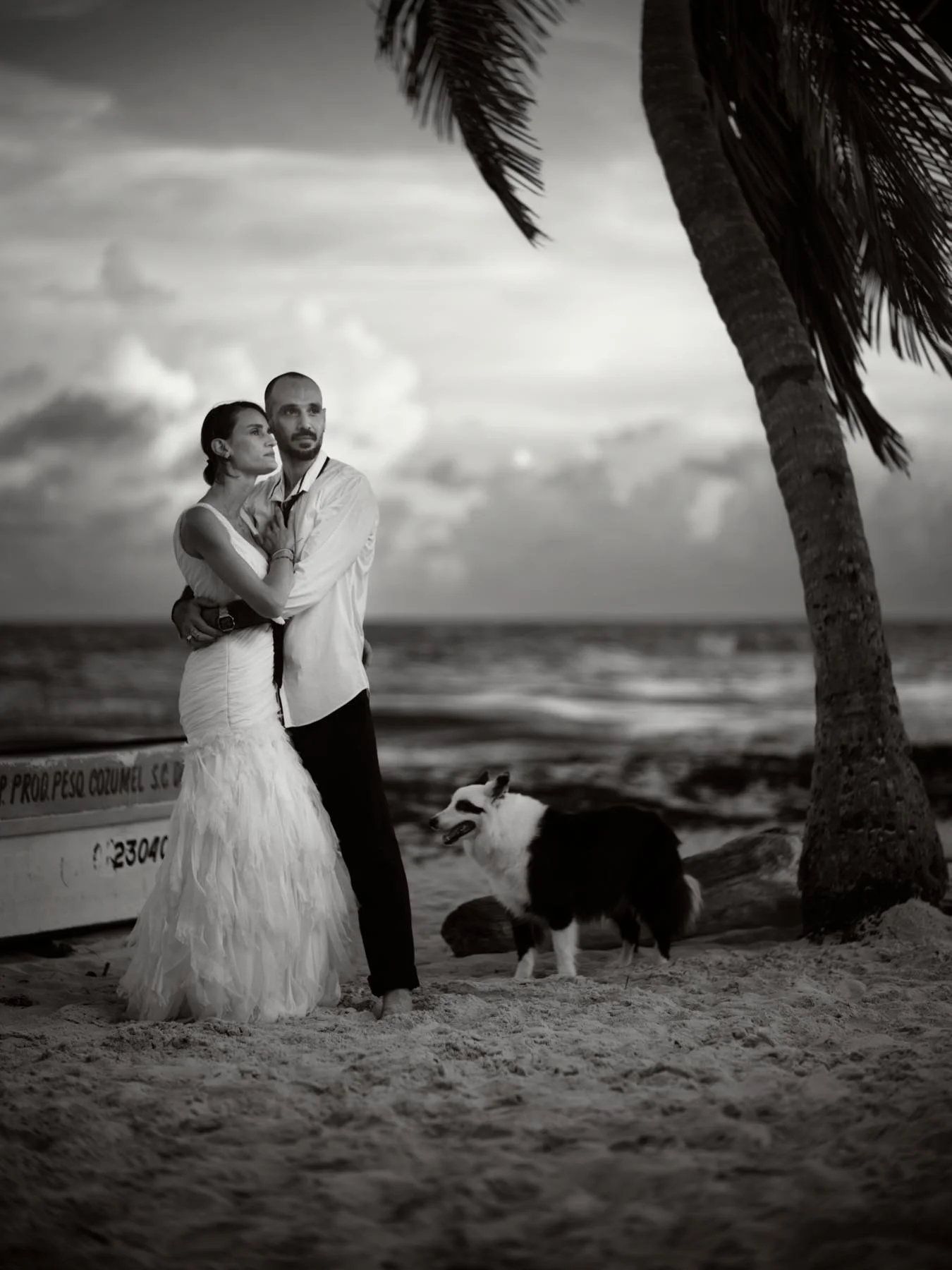 A black-and-white photo of a couple embracing on the beach near a palm tree, with an ocean and cloudy sky in the background. A dog stands nearby.