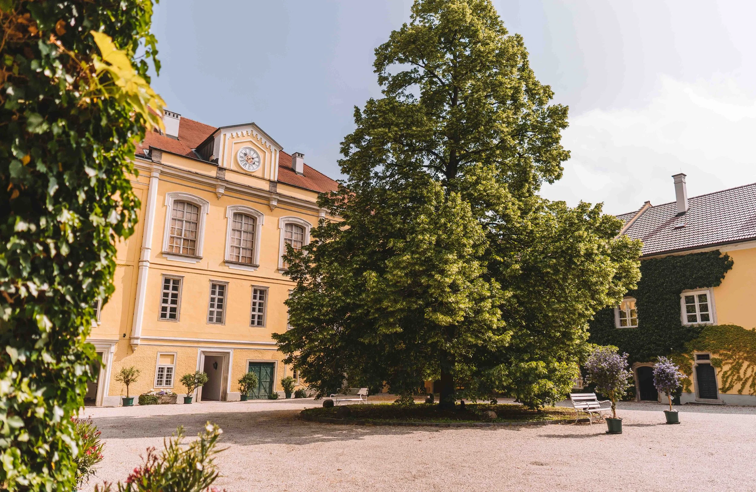 StaedteEferding20©TourismusverbandDonauOberoesterreichGoodMorningWorldMelanieSchillinger(17).jpg