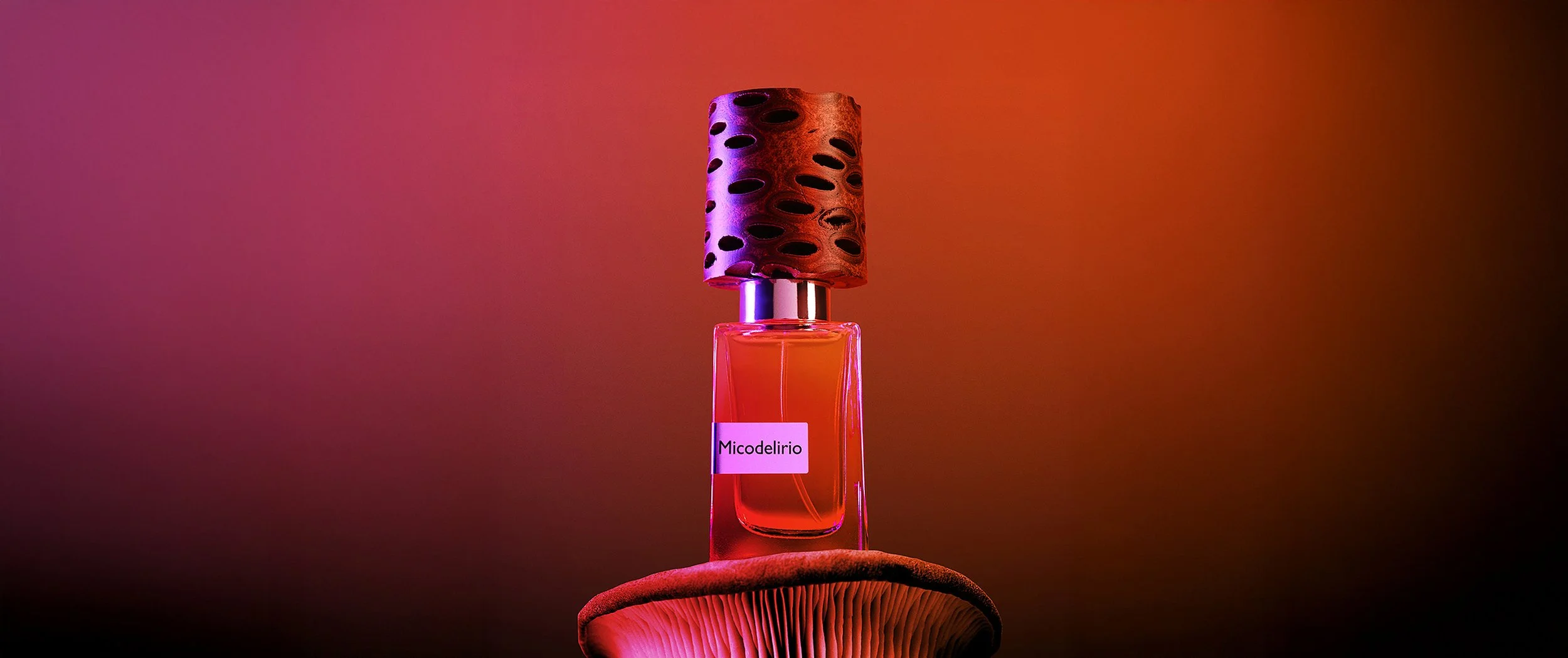 NA2628-Micodelirio.jpg