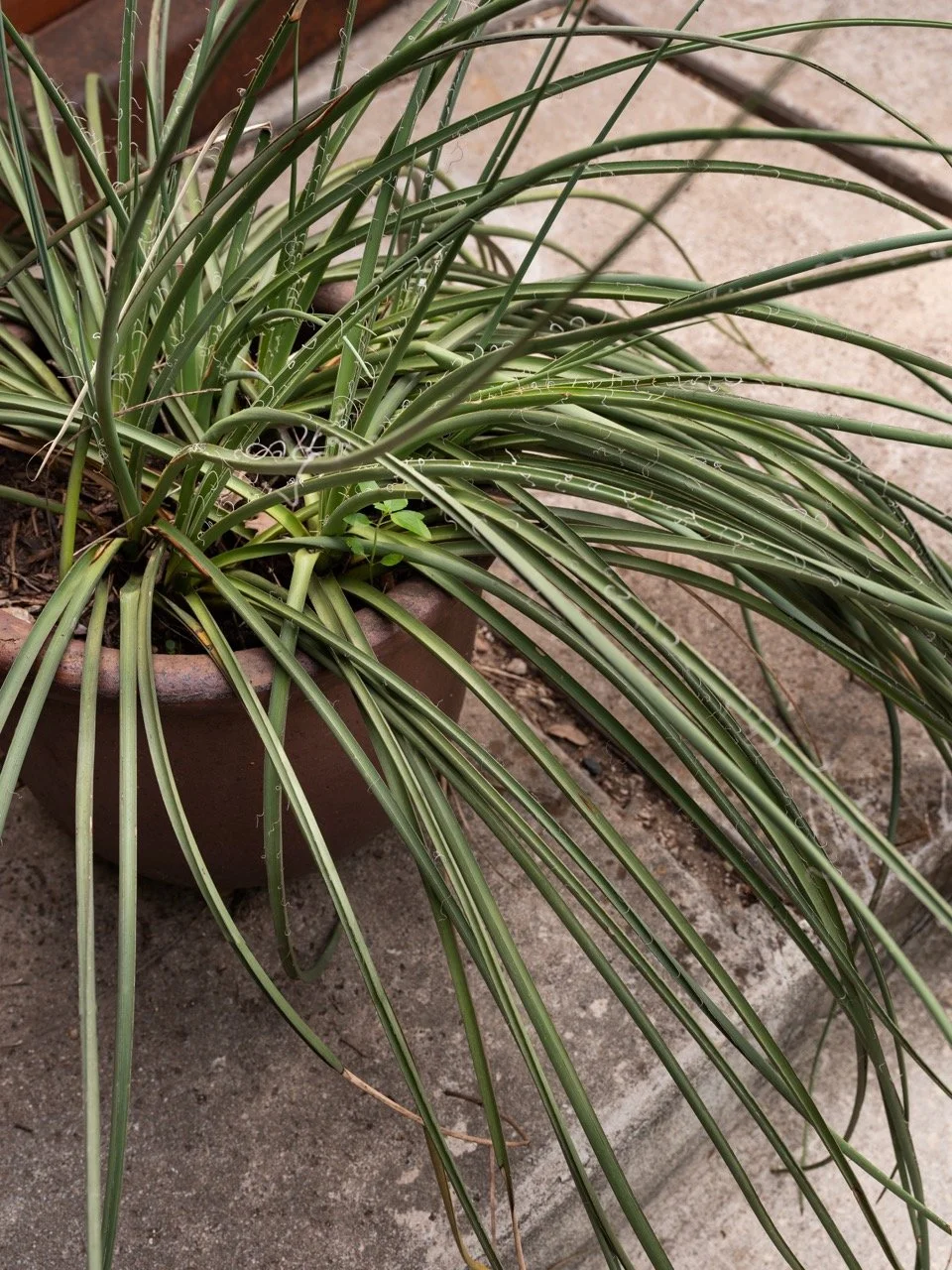 20250521_Jardin_Riverside_HR_30 Large.jpeg