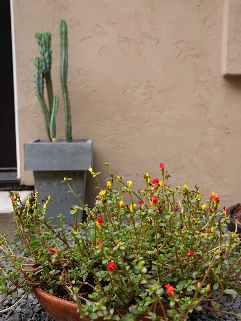 20250521_Jardin_Riverside_HR_31 Large.jpeg