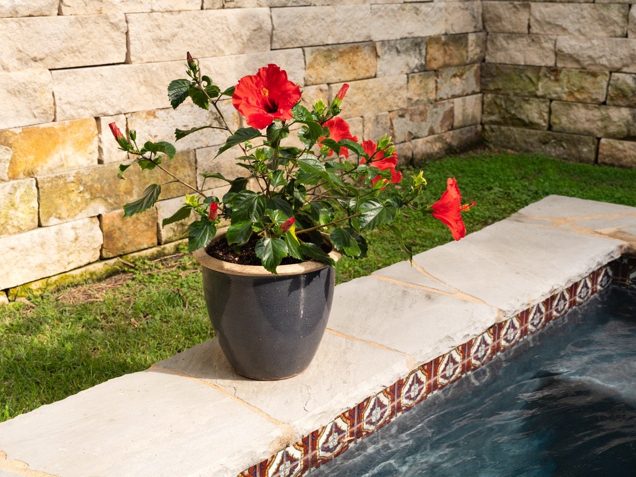 20250521_Jardin_Riverside_HR_34 Large.jpeg