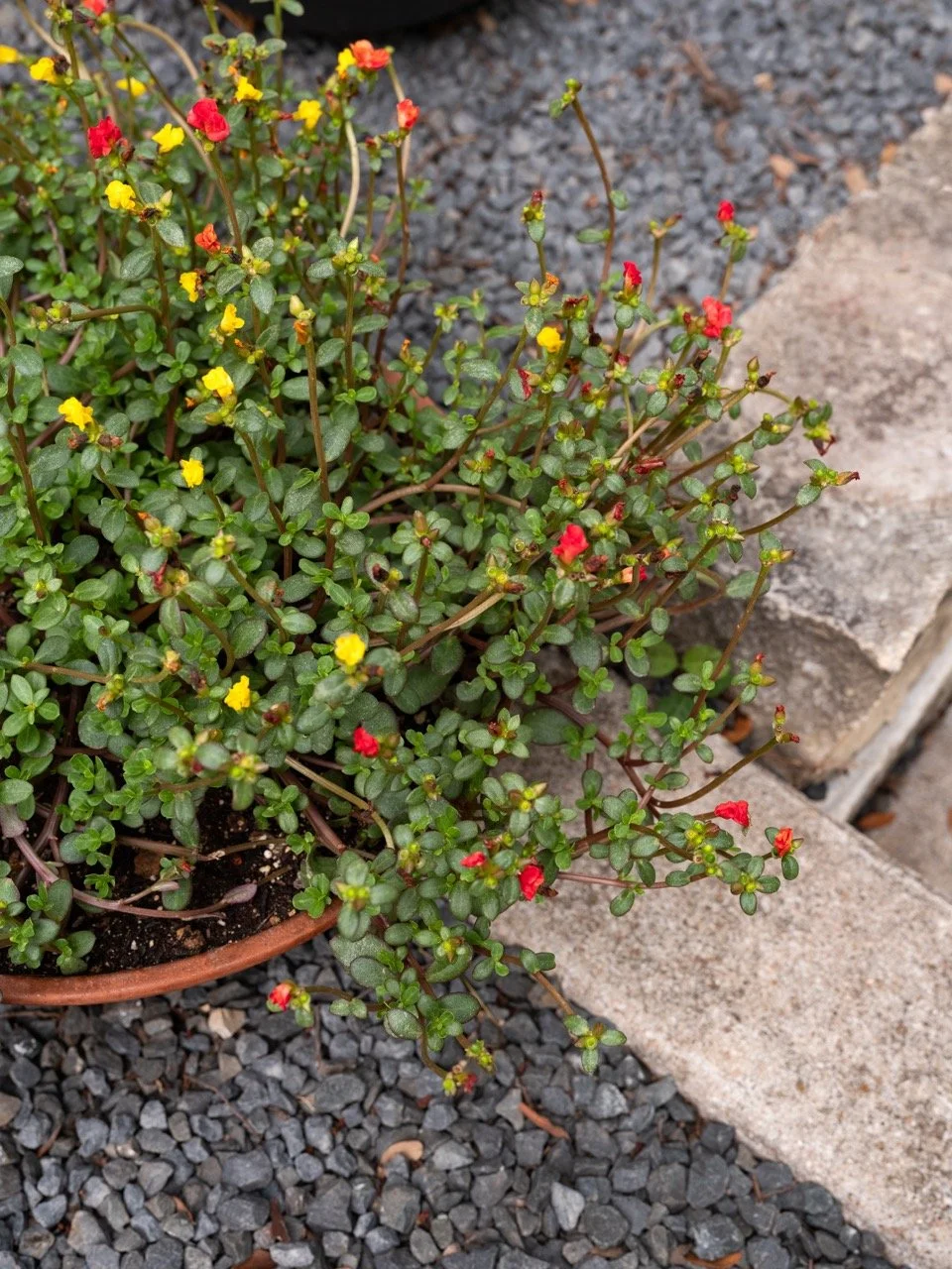 20250521_Jardin_Riverside_HR_26 Large.jpeg