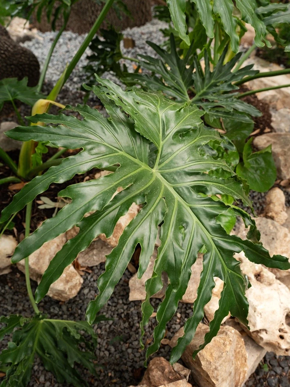 20250521_Jardin_Riverside_HR_36 Large.jpeg