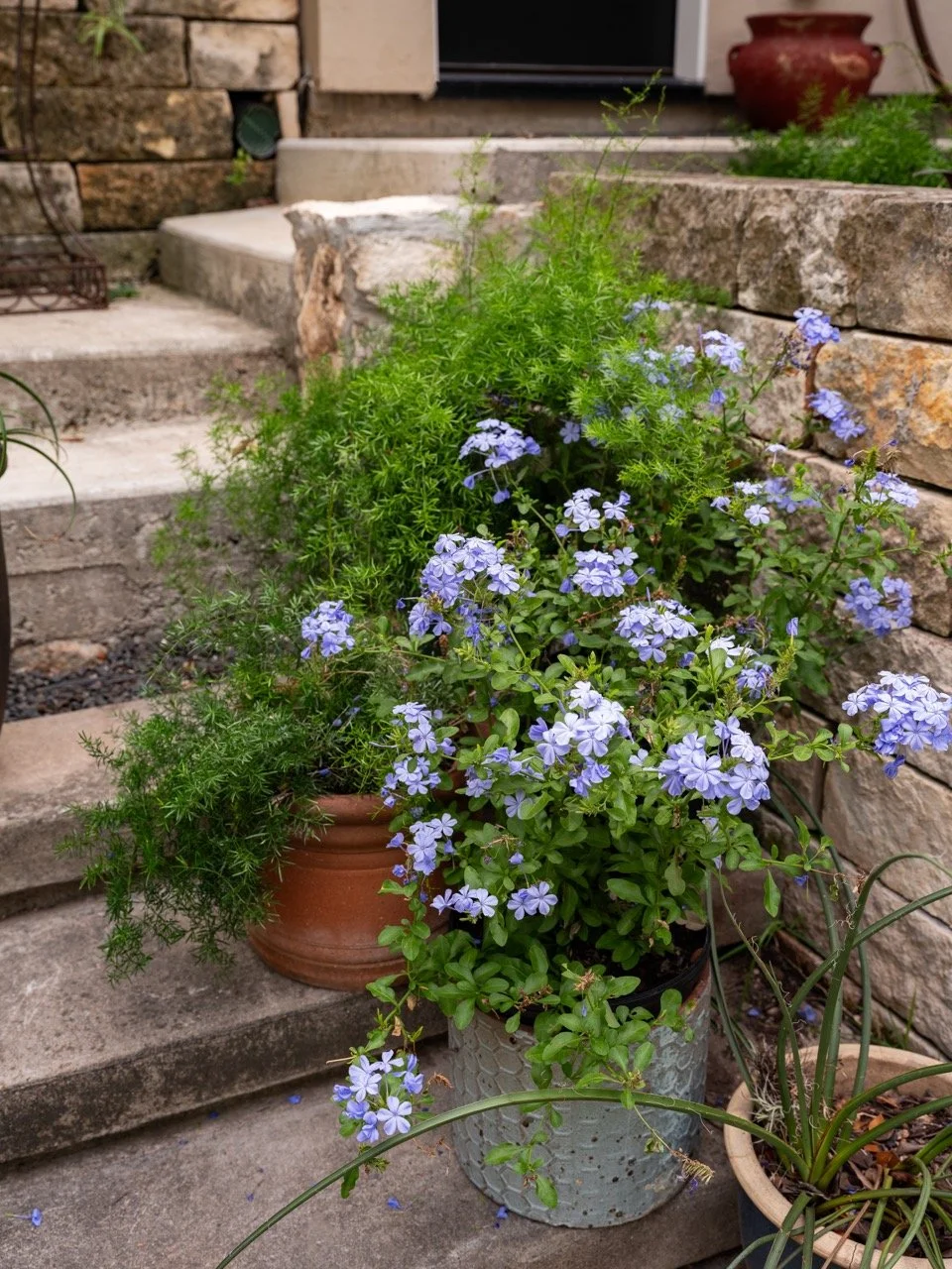 20250521_Jardin_Riverside_HR_32 Large.jpeg