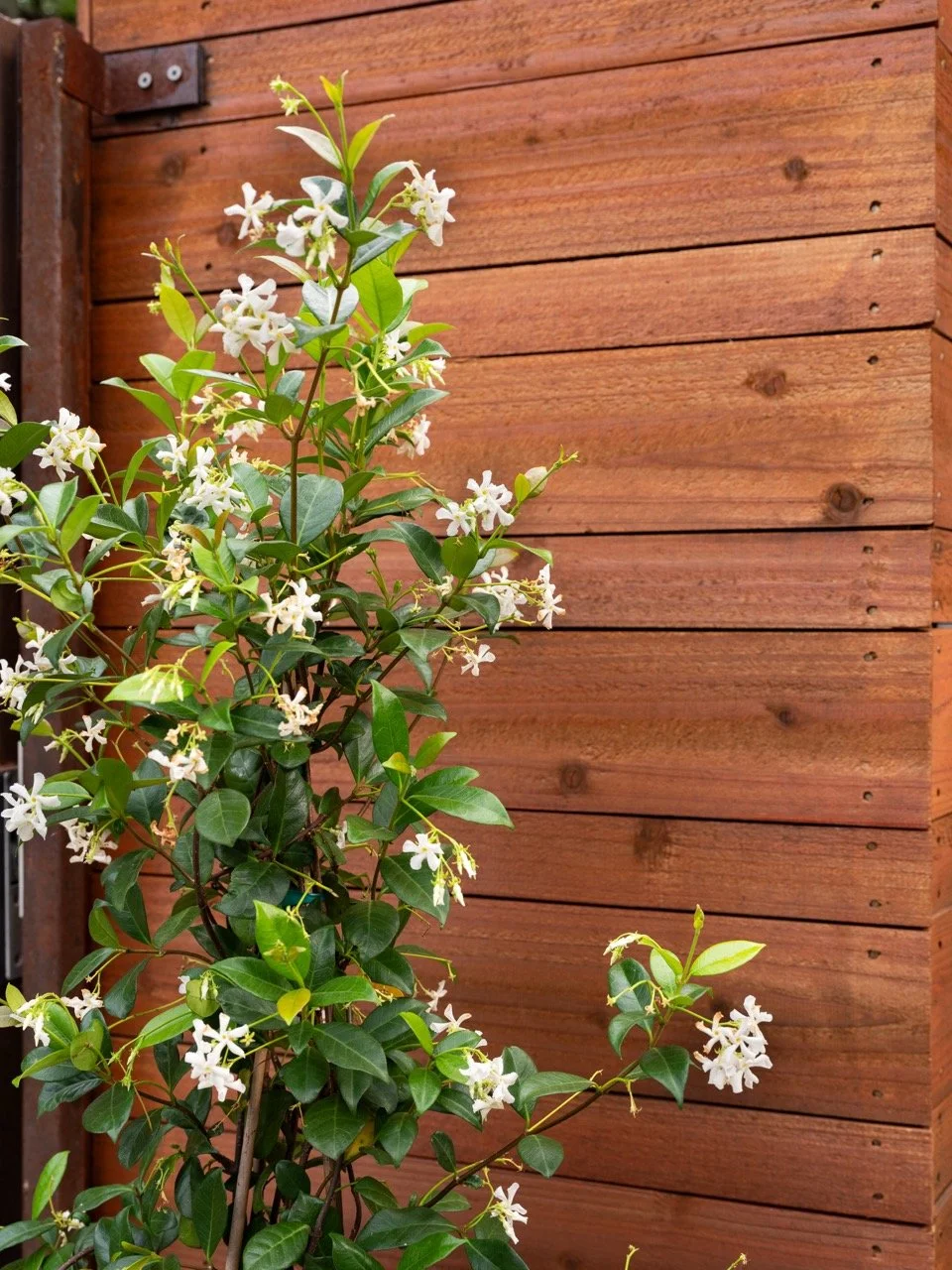 20250521_Jardin_Riverside_HR_27 Large.jpeg