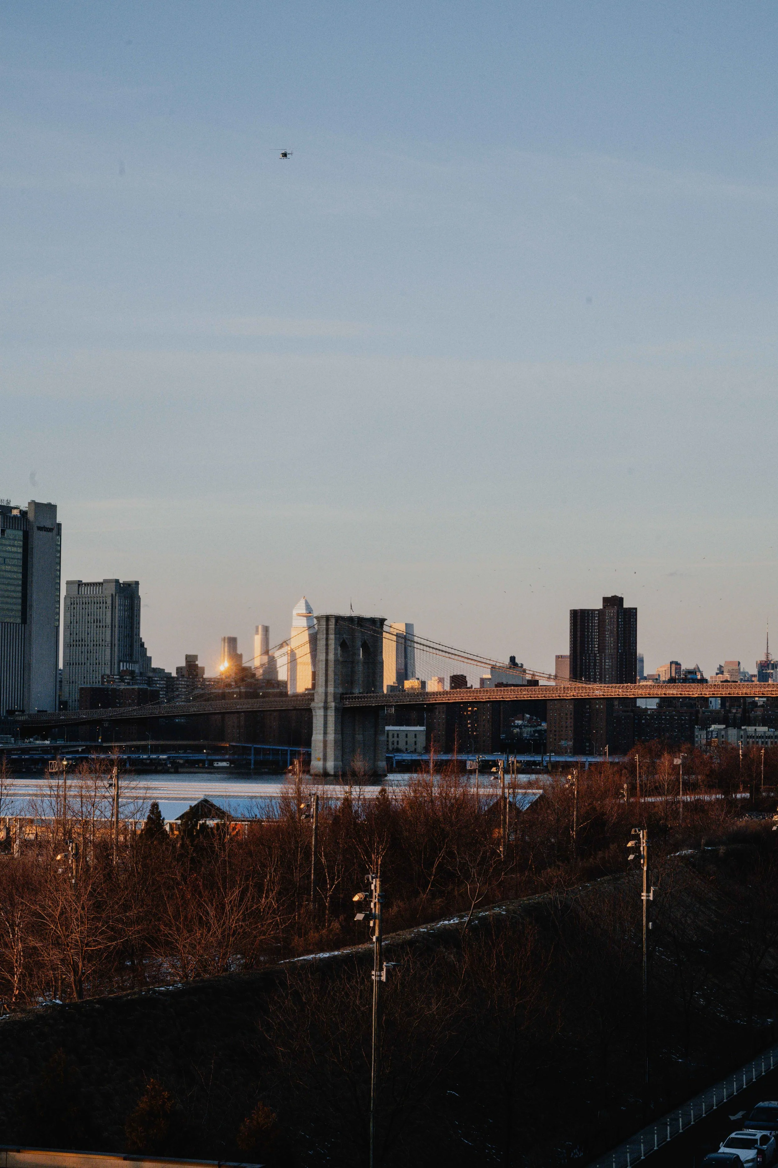 January 2025, Brooklyn Bridge Park Conservancy