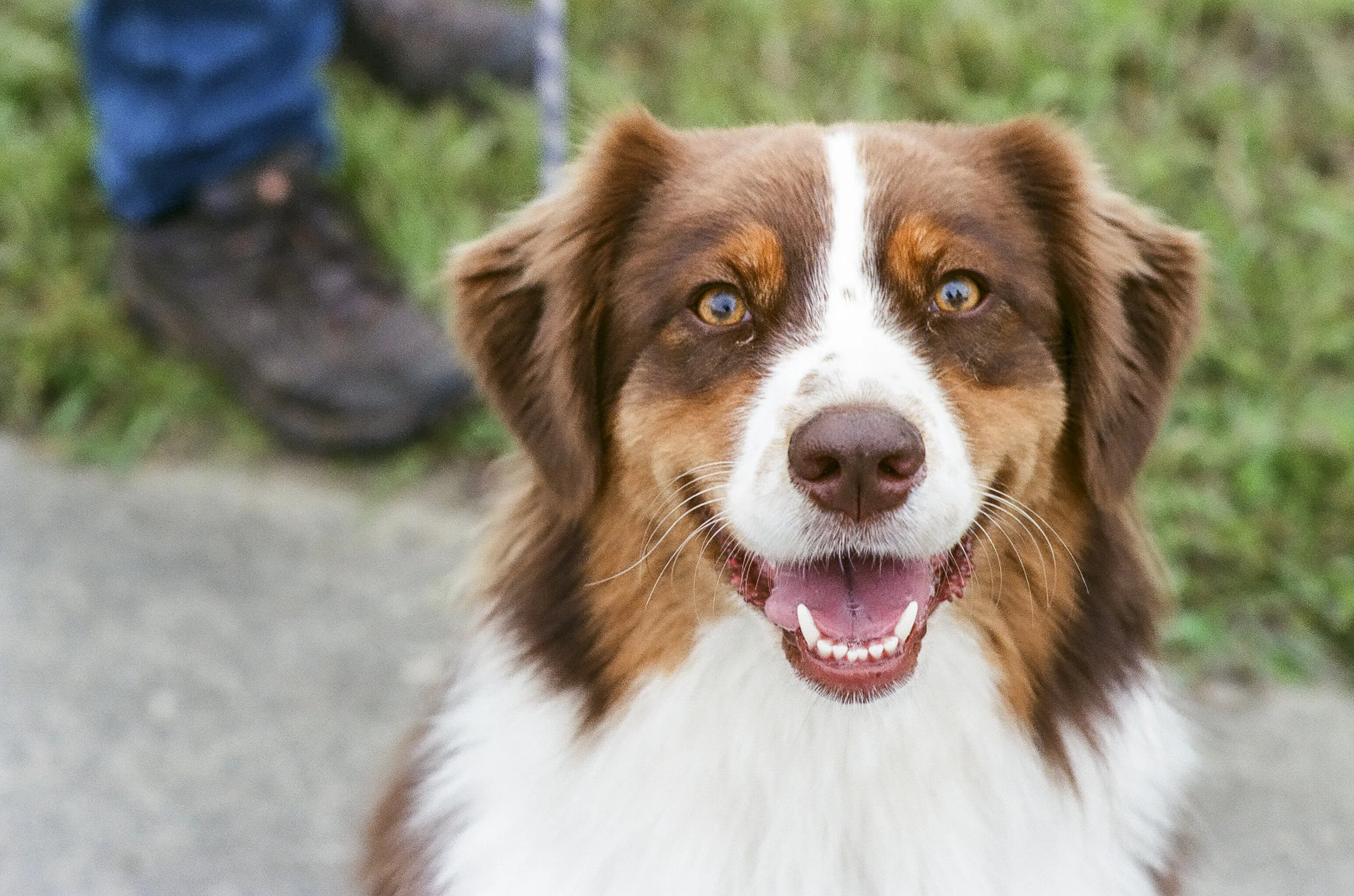 Boston, MA (2023)
with Fujifilm XTRA 400