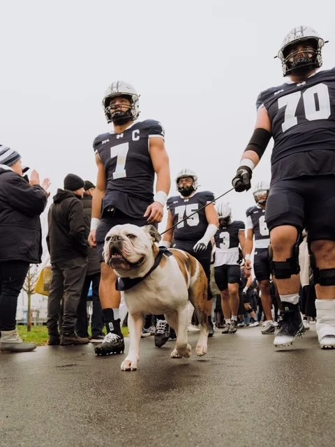 Yale vs Montana State Game Watch Party