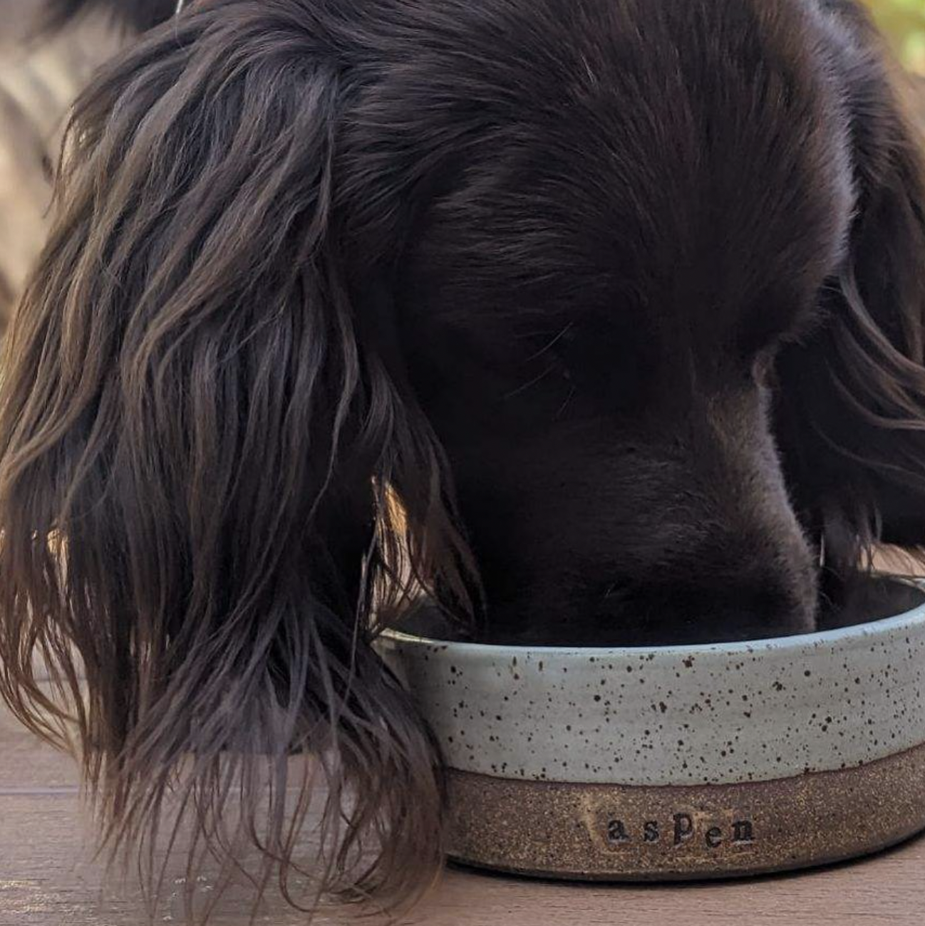 Screen Shot 2023-09-13 at 10.16.16 AM.png