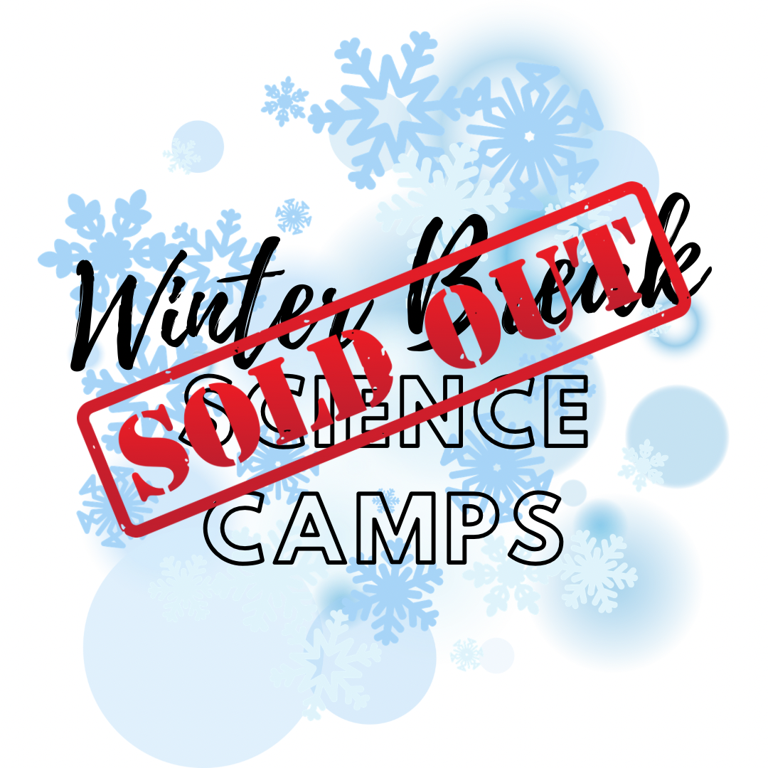 Winter Break Science Camps