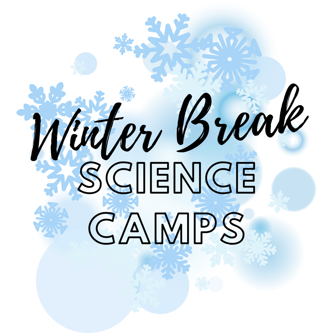 Winter Break Camps.png