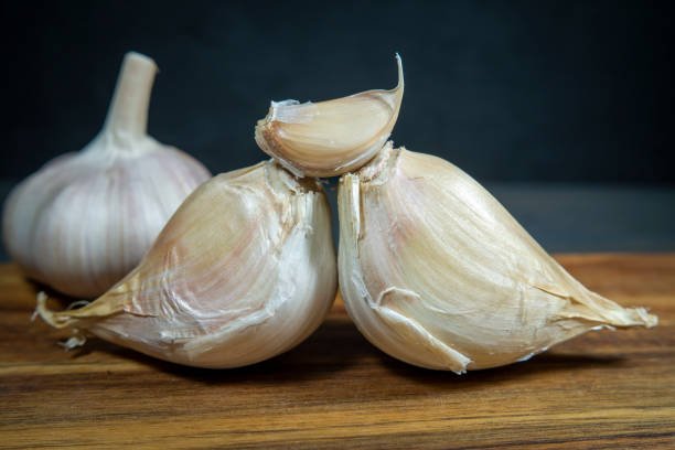 Elephant garlic.jpg