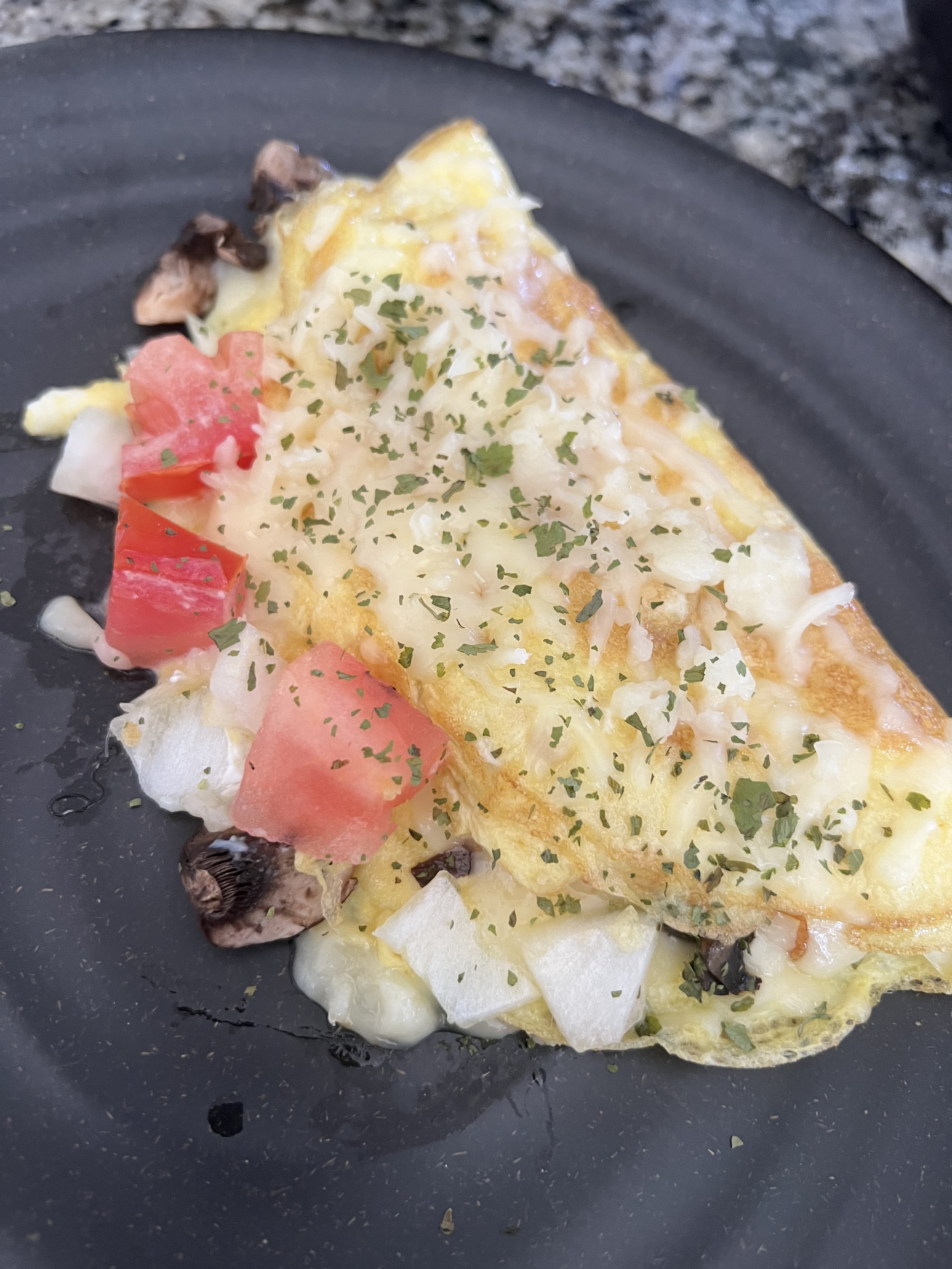 Tomato, onion, mushroom, and mozzarella cheese omelette