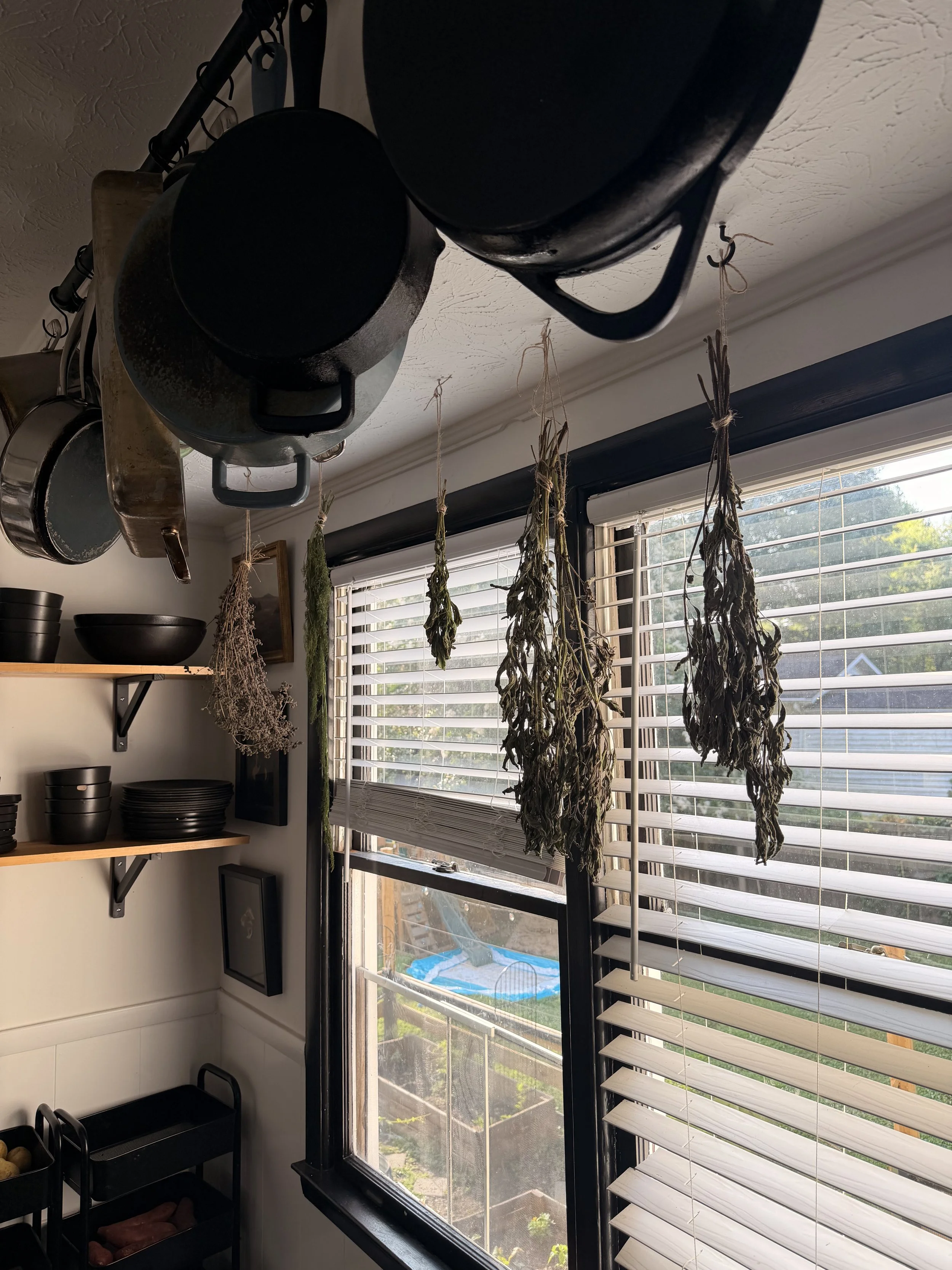 View of a kitchen window with hanging dried herbs and pots on a ceiling rack. Outside, a backyard with a small pool and green lawn is visible.