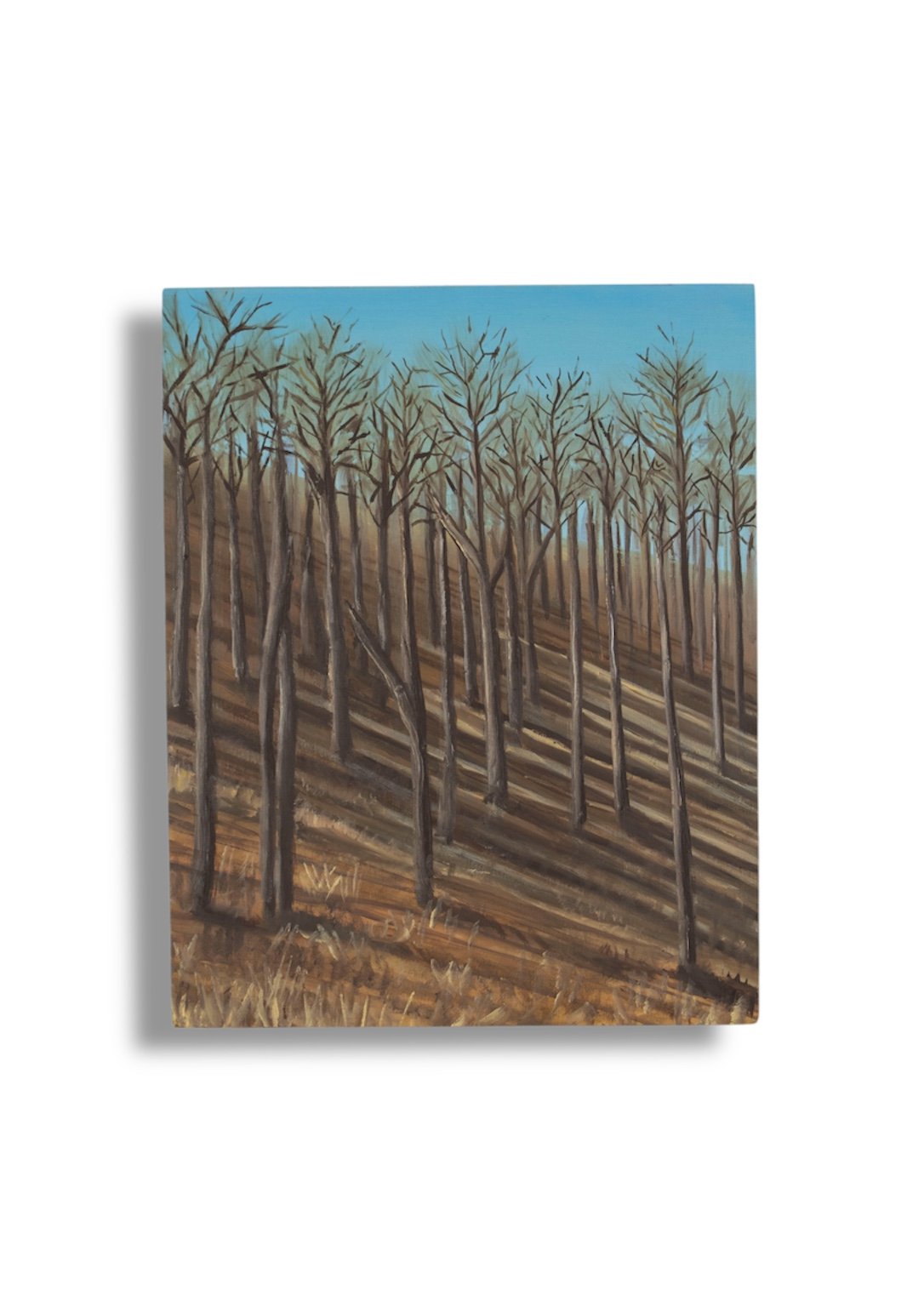 "Side of the Road (Boone, NC)", Oil Paint on Wood, 8"x10", 2025.
