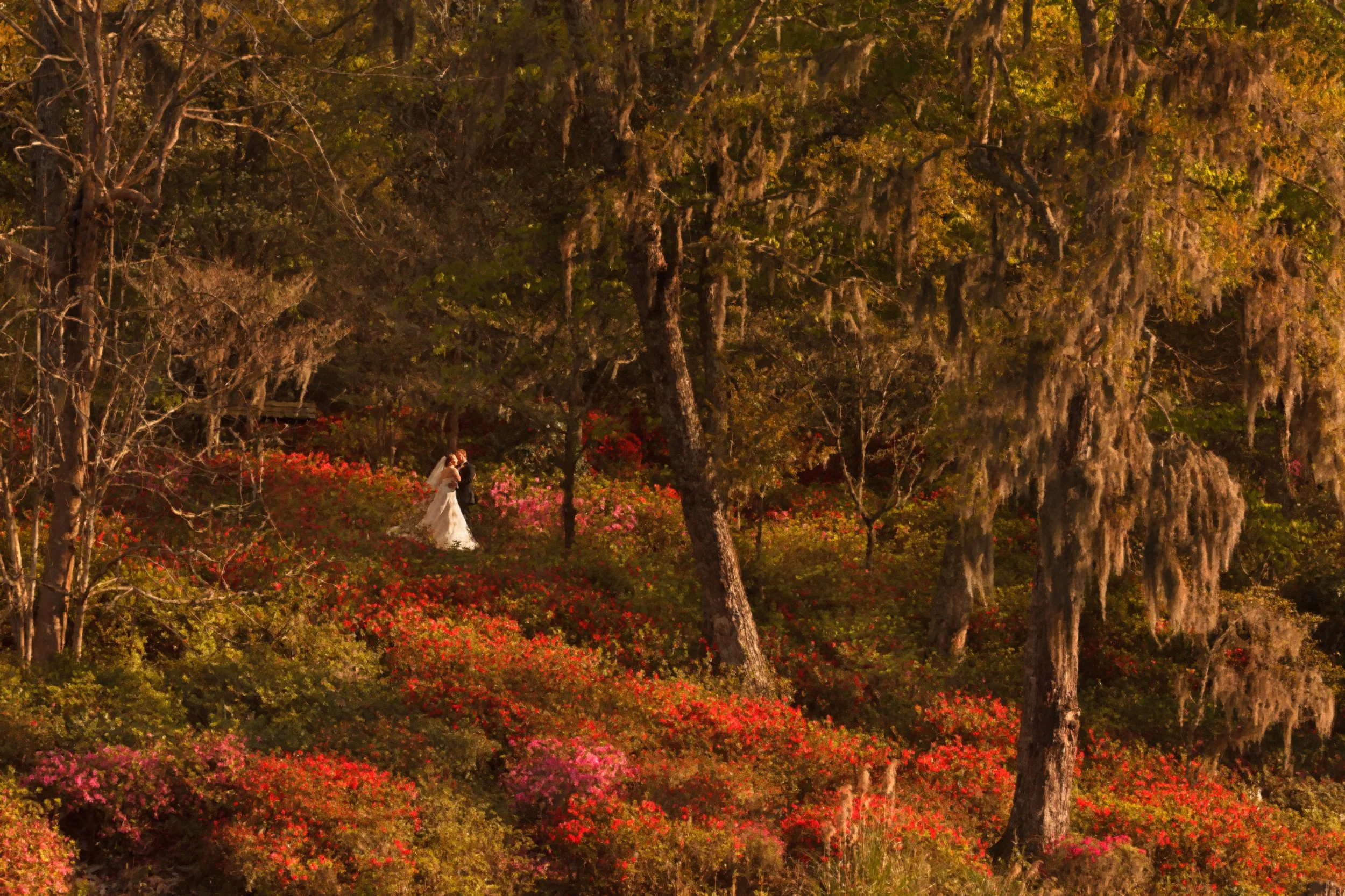 portfolio_weddings_0967.JPG