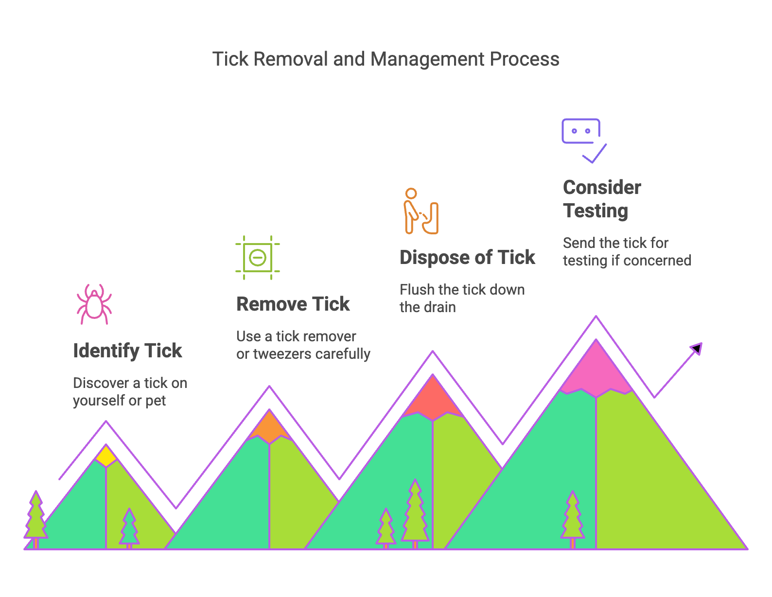Graph with mountains and text summarizing the 4 steps to perform if you find a tick on you or your dog