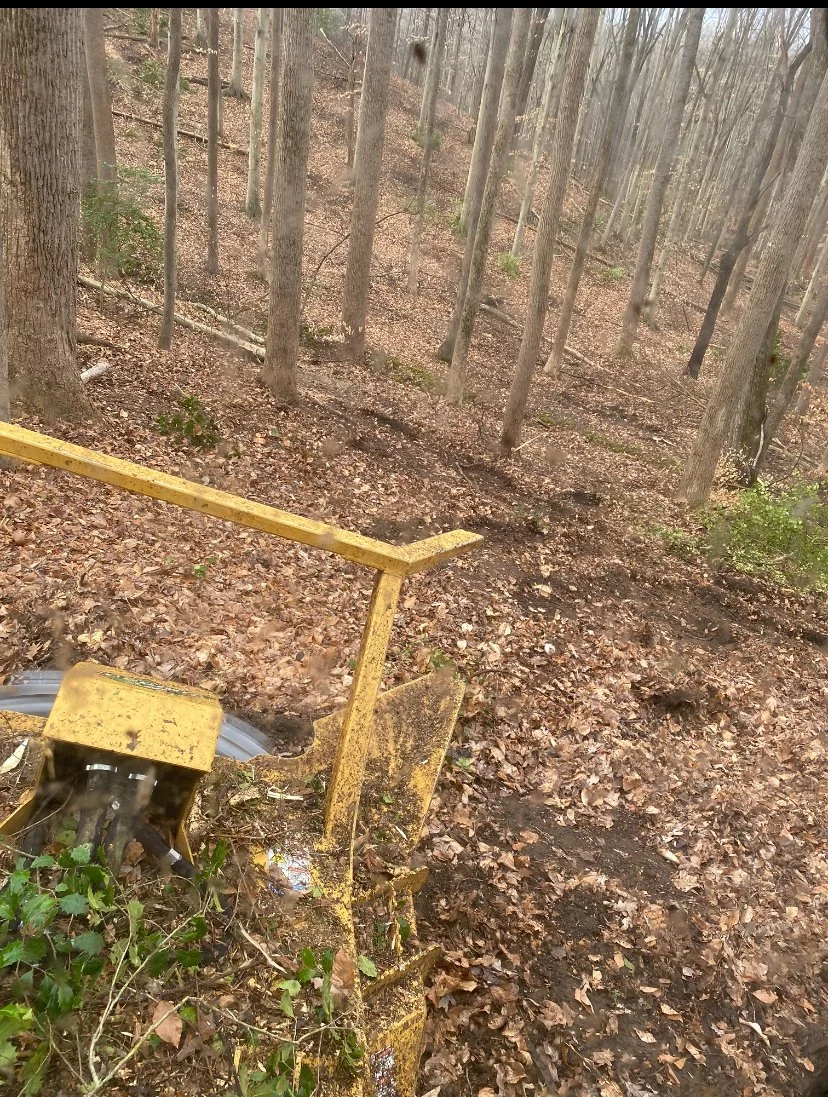 Part of a yellow bulldozer or excavator in a forested area with fallen leaves, trees, and dirt trail.