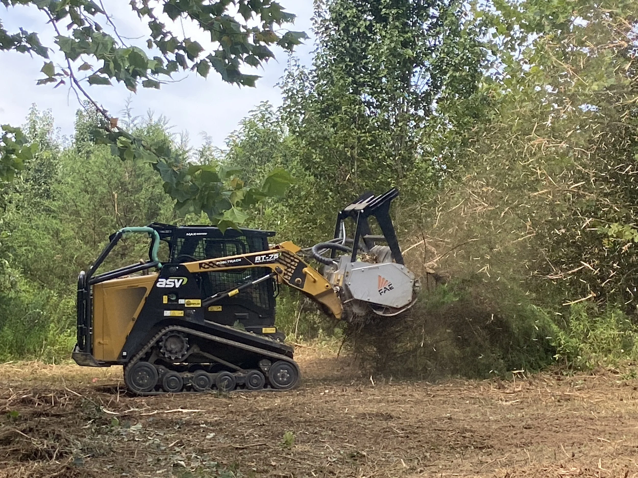 A small tracked bulldozer cutting down a bush in a wooded area.