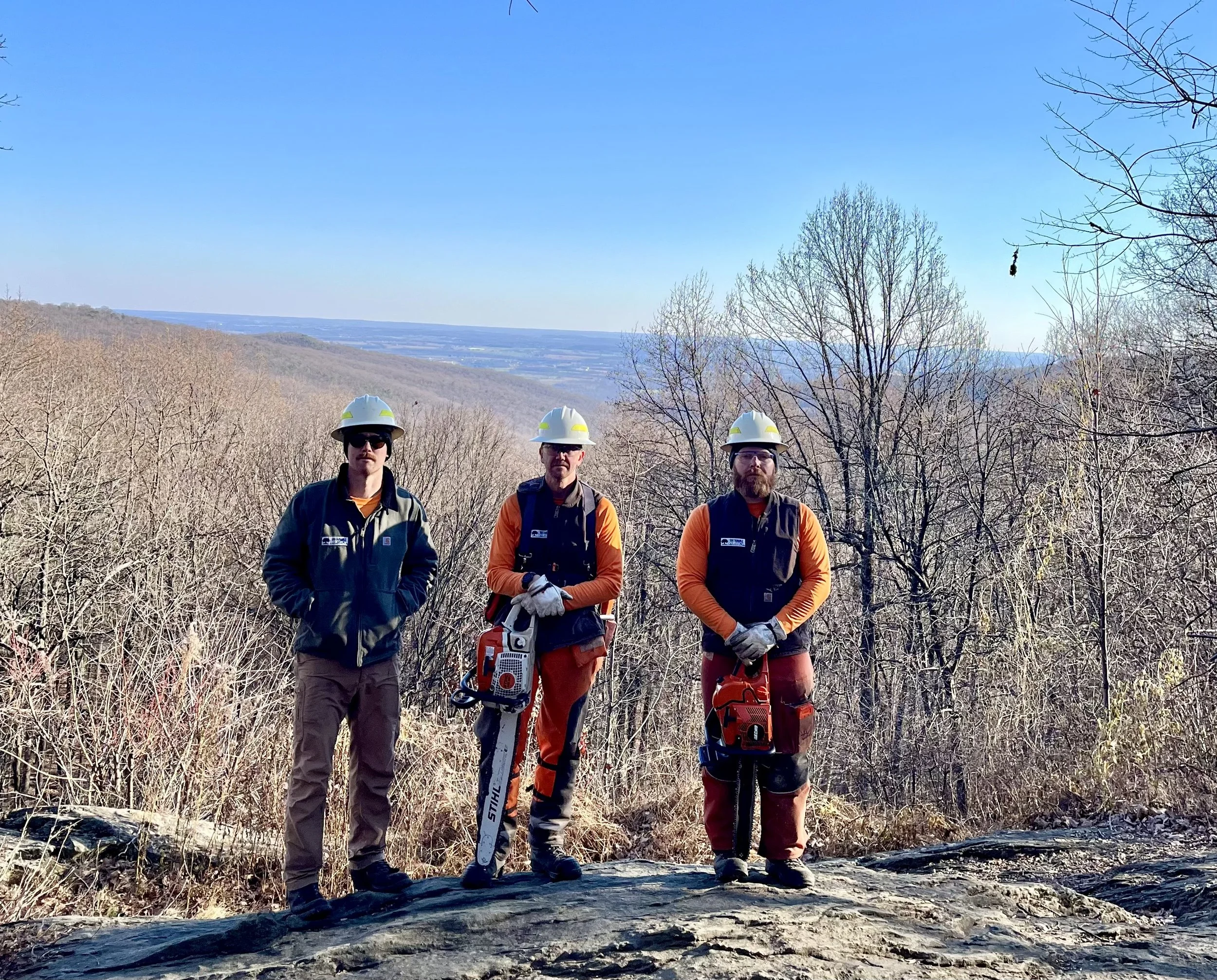 Copy of C7C49691-9B8A-4AB9-9A95-AA7DADAA4504.jpeg