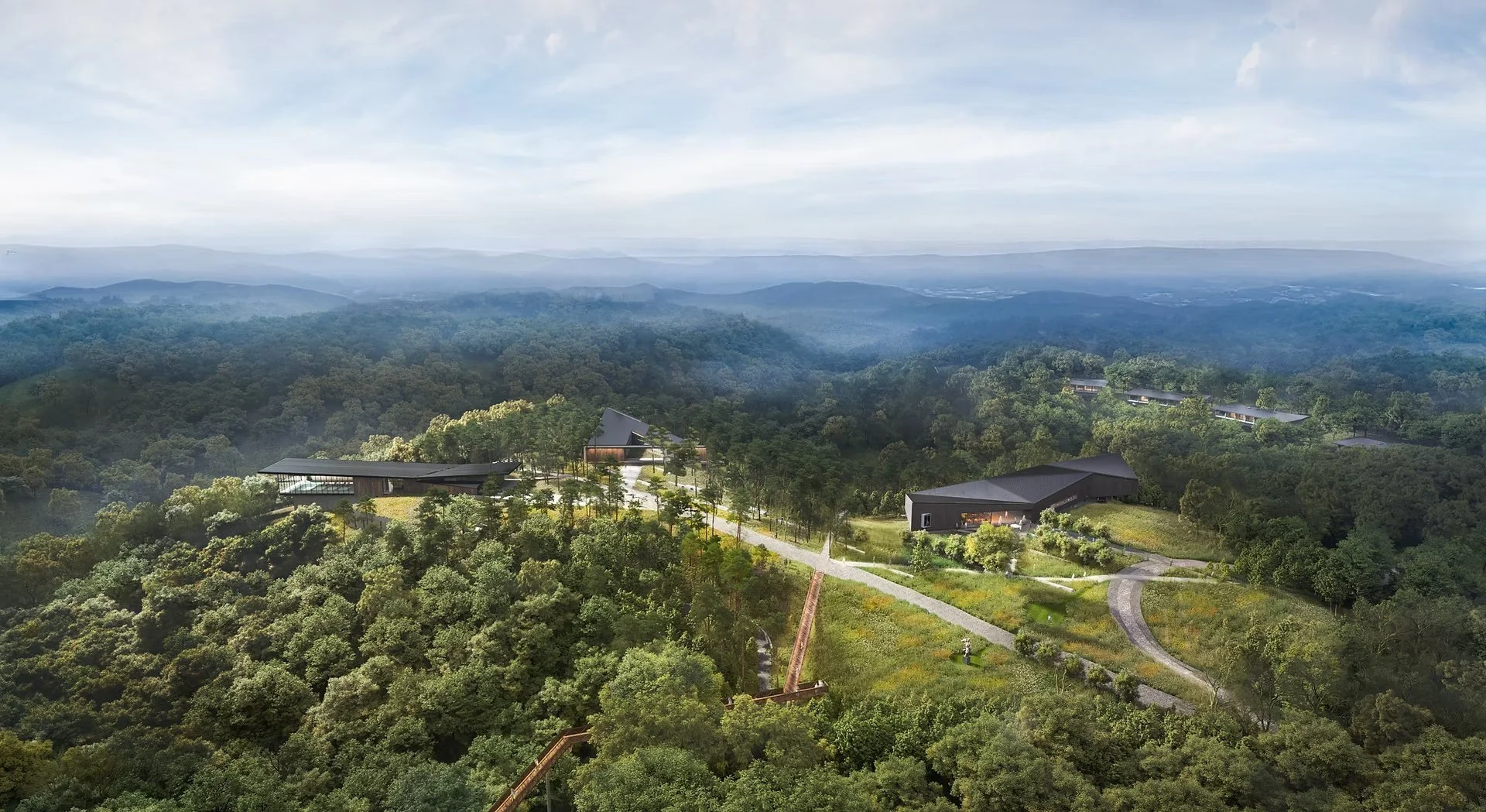 forestry mulching, forest thinning, restoration, simply shenandoah, Virginia