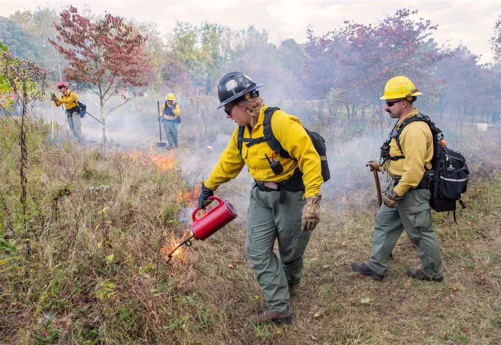 Prescribed Fire, controlled burn https://www.wtae.com/article/pittsburgh-botanic-garden-controlled-burn/69483123  https://www.post-gazette.com/life/outdoors/2025/10/23/controlled-fire-prescribed-burn-pittsburgh-botanic-garden/stories/202510210046