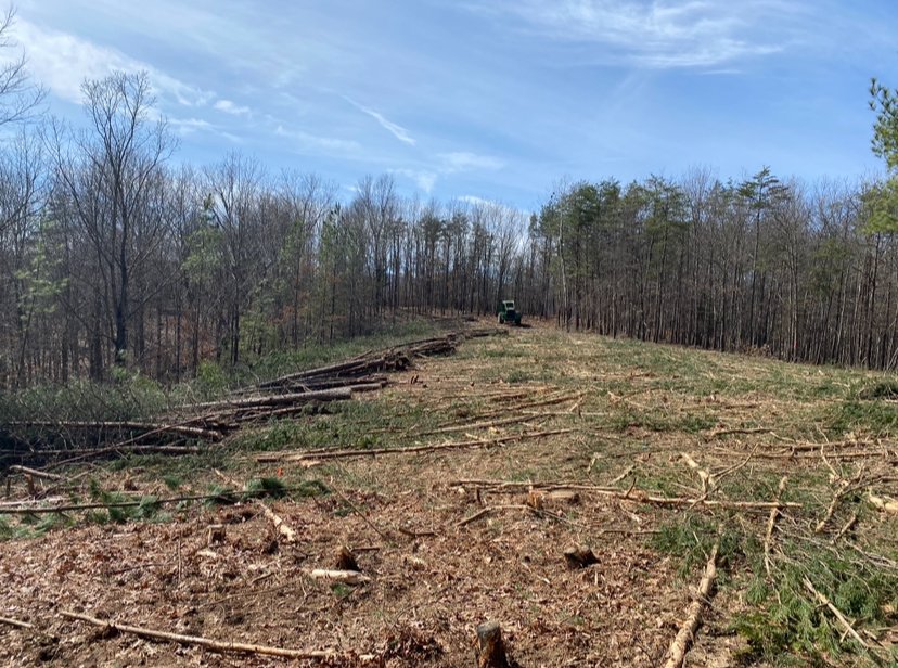 Cleared forest with fallen logs and a tractor in the distance under a partly cloudy sky.