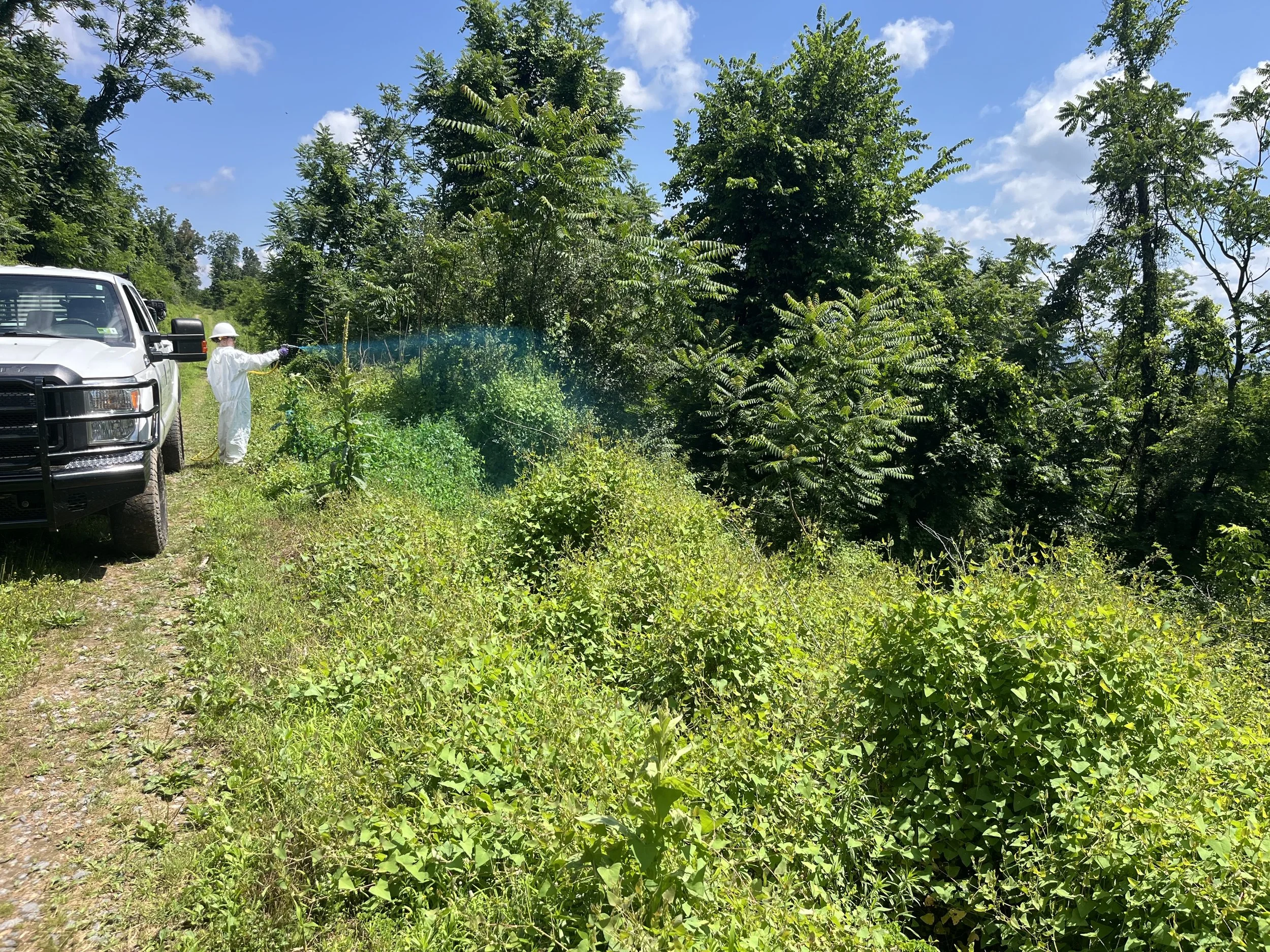 Worker in protective gear spraying pesticide or herbicide on plants in a green outdoor area next to a parked pickup truck, with trees and blue sky in the background.