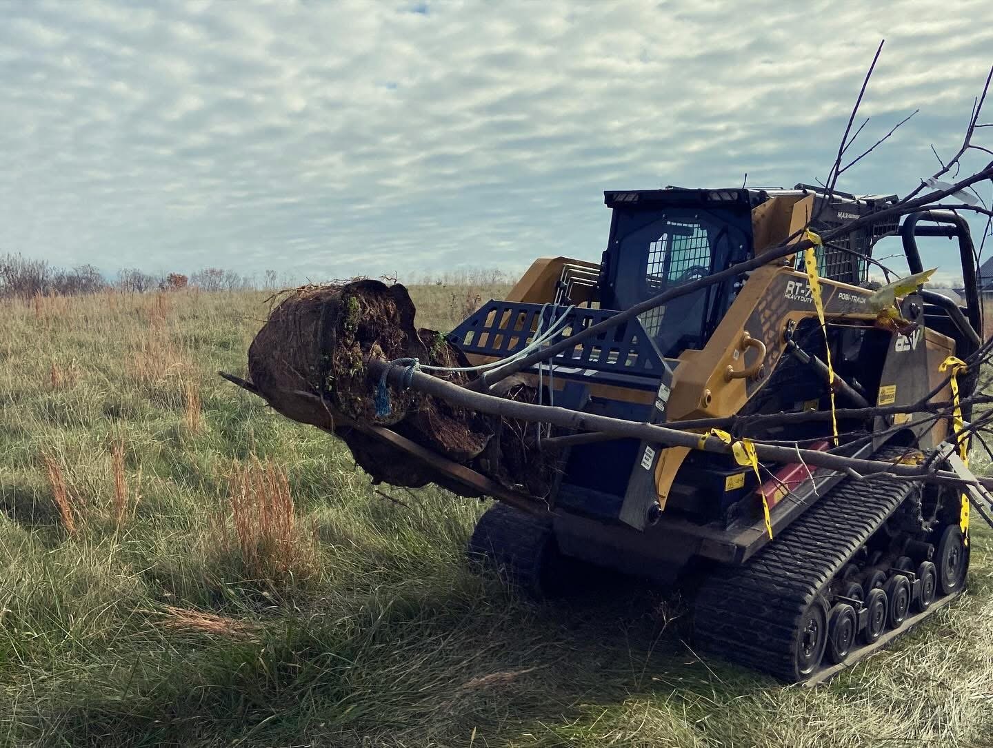 A tracked forestry machine holding a large uprooted tree with roots and dirt, in an open grassy field under a cloudy sky.